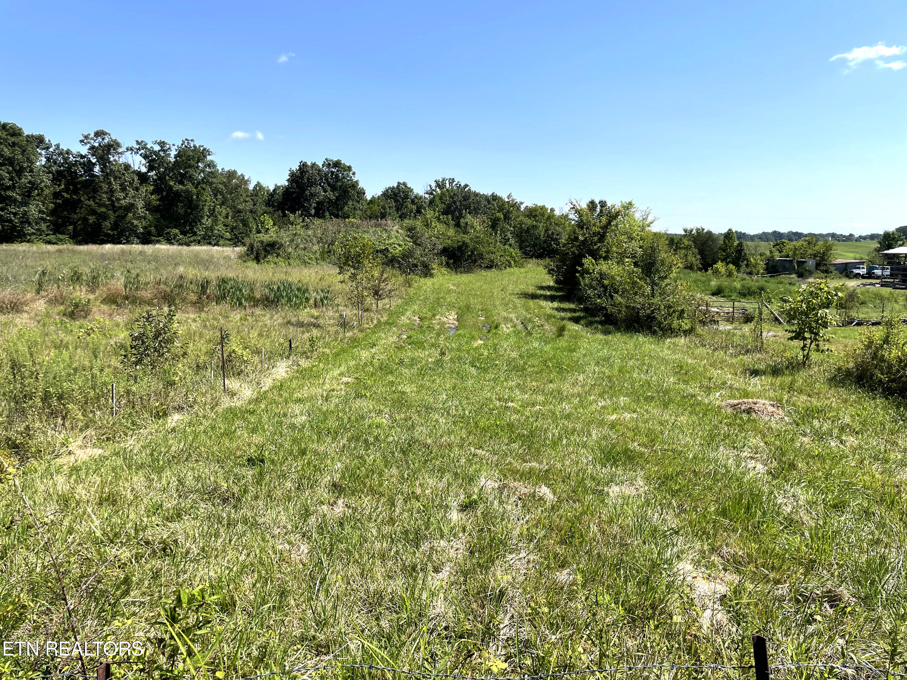 2205 Flatwoods Road Mosheim TN 37818