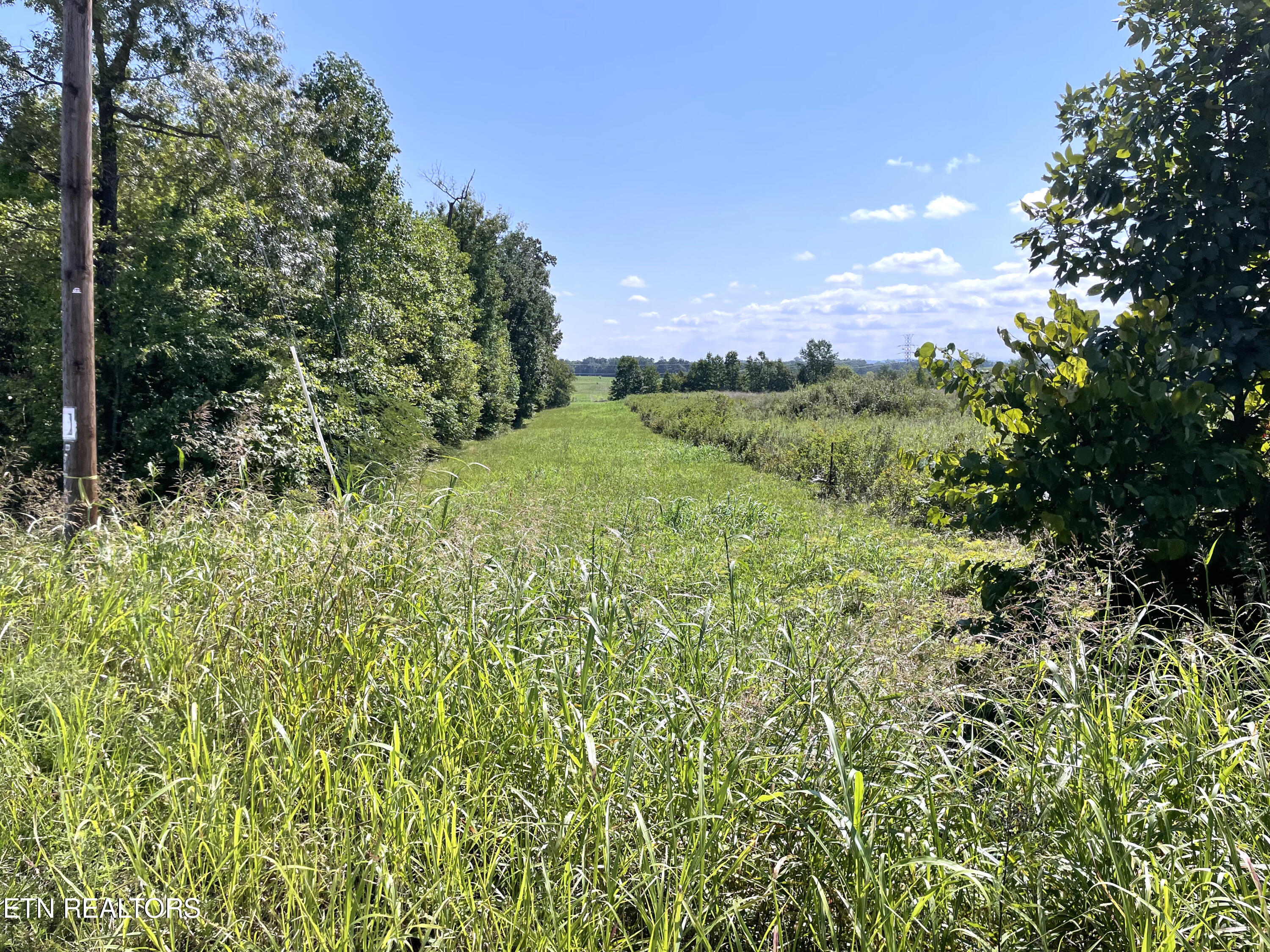 2205 Flatwoods Road Mosheim TN 37818