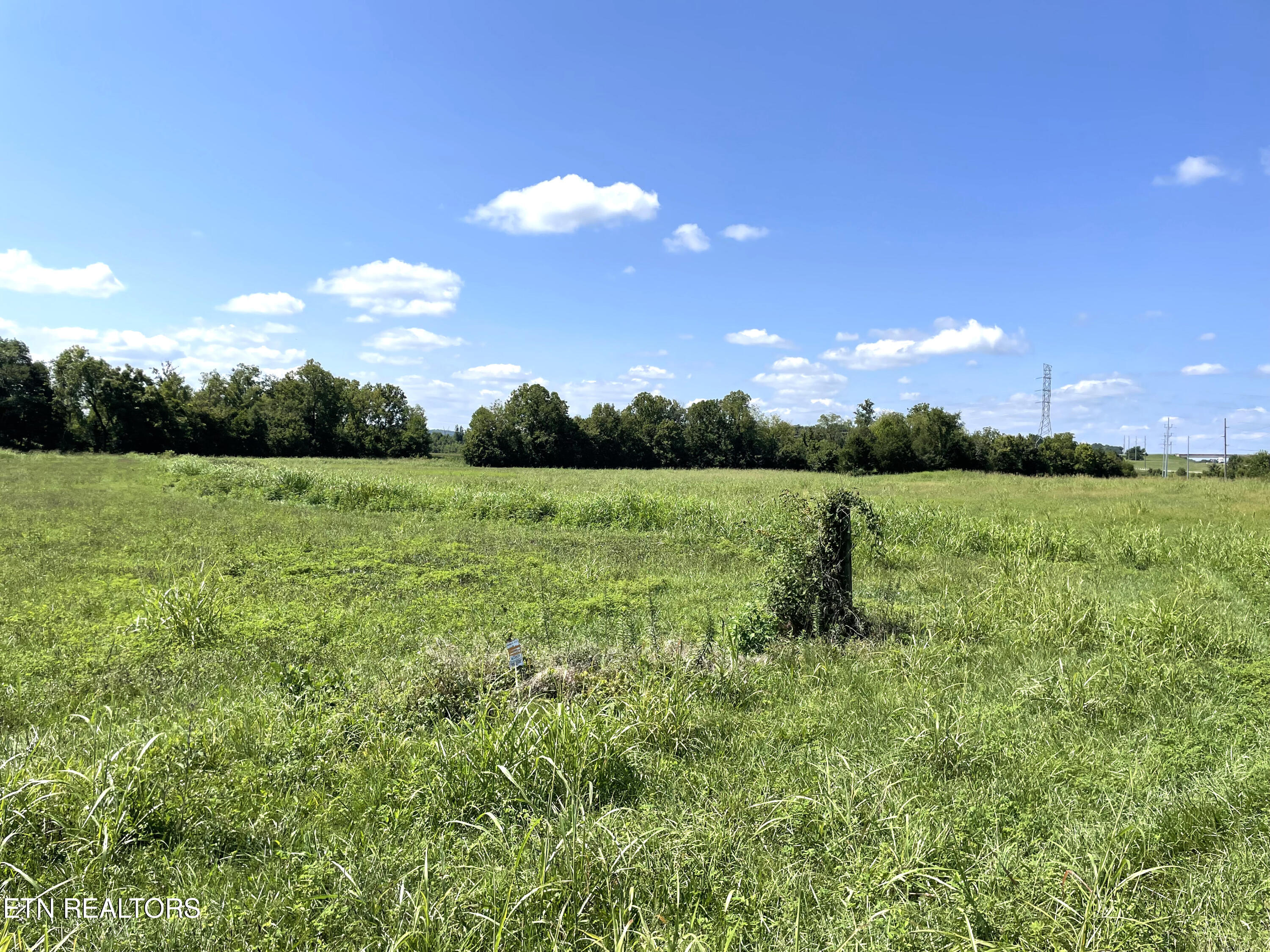 2205 Flatwoods Road Mosheim TN 37818