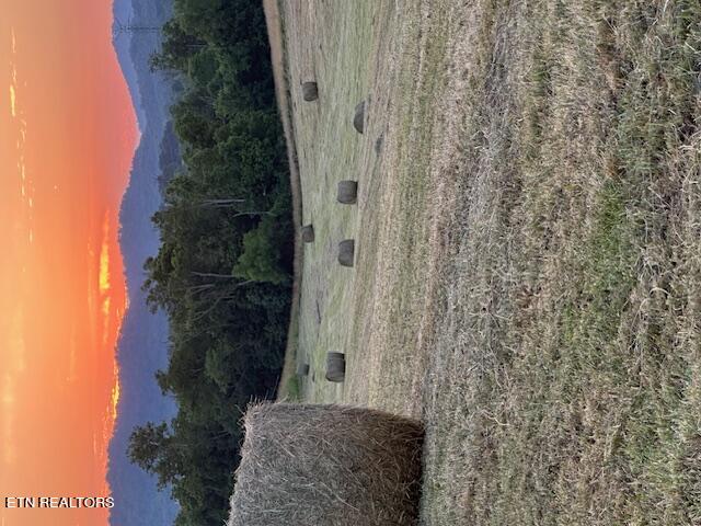 2205 Flatwoods Road Mosheim TN 37818
