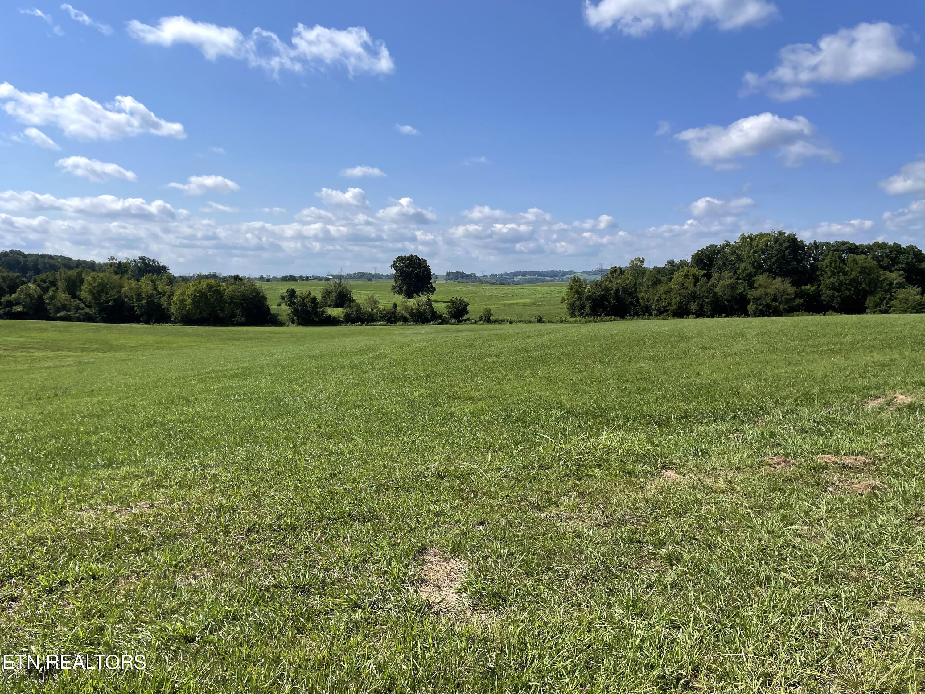 2205 Flatwoods Road Mosheim TN 37818
