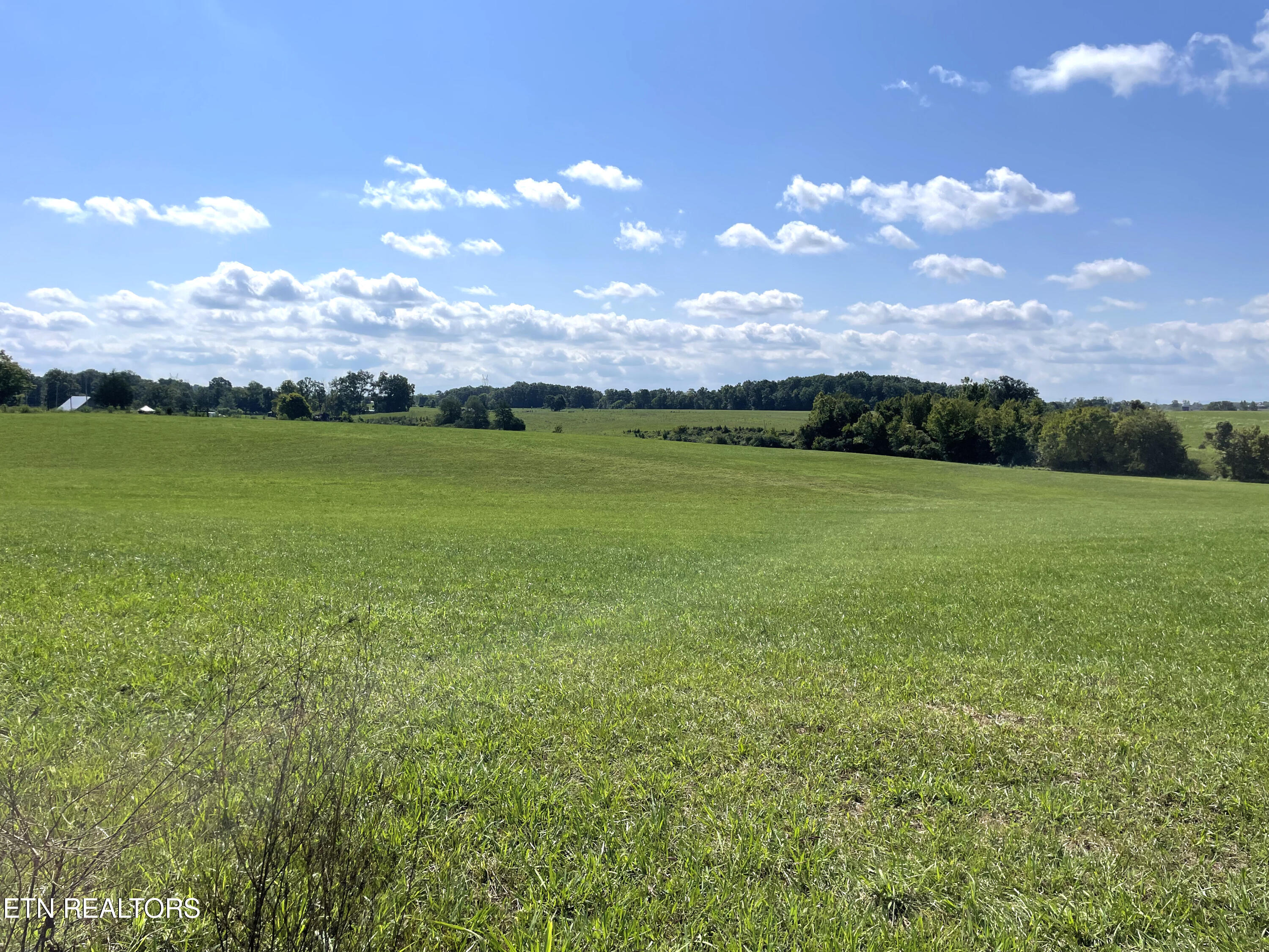 2205 Flatwoods Road Mosheim TN 37818