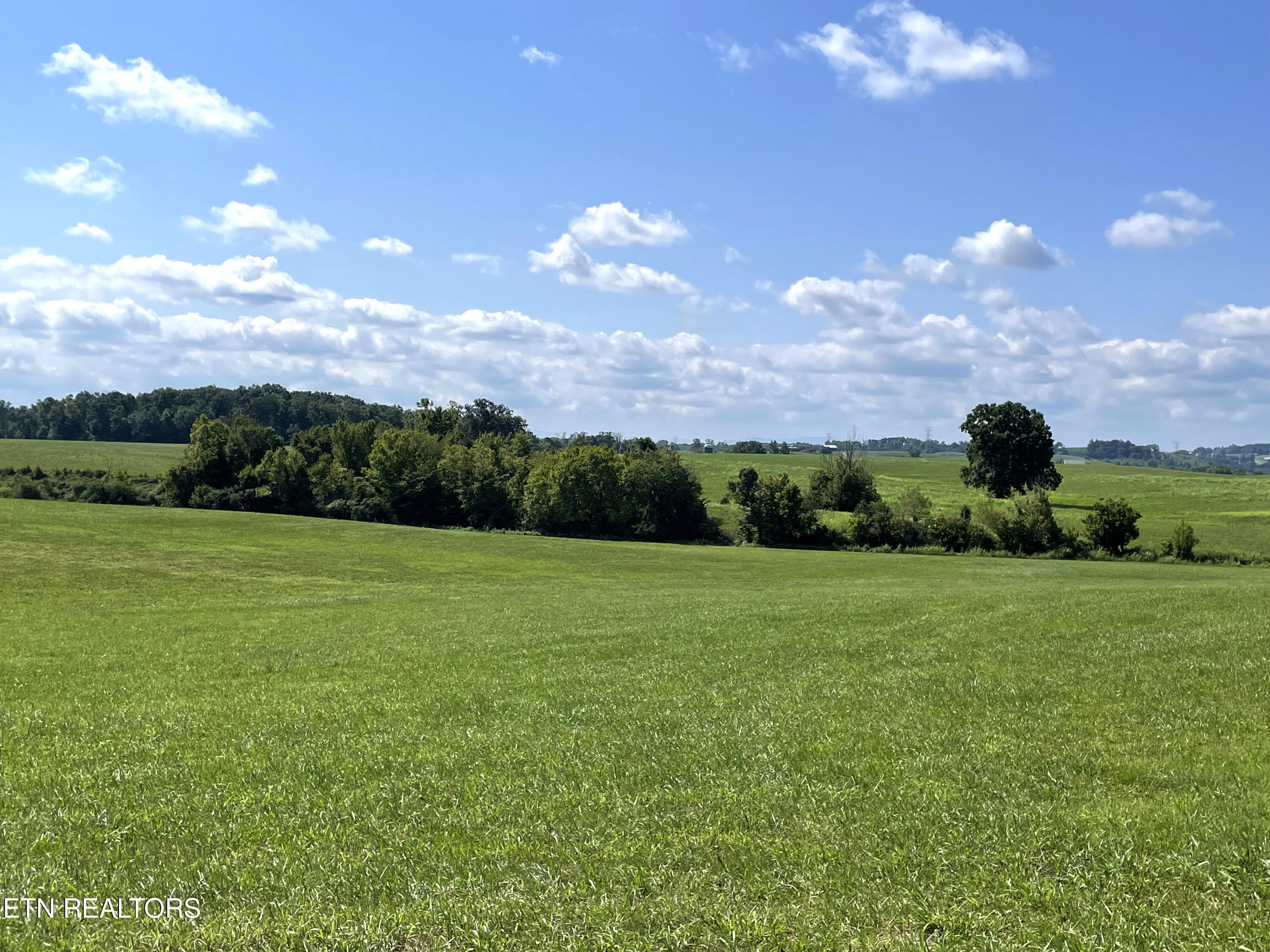2205 Flatwoods Road Mosheim TN 37818
