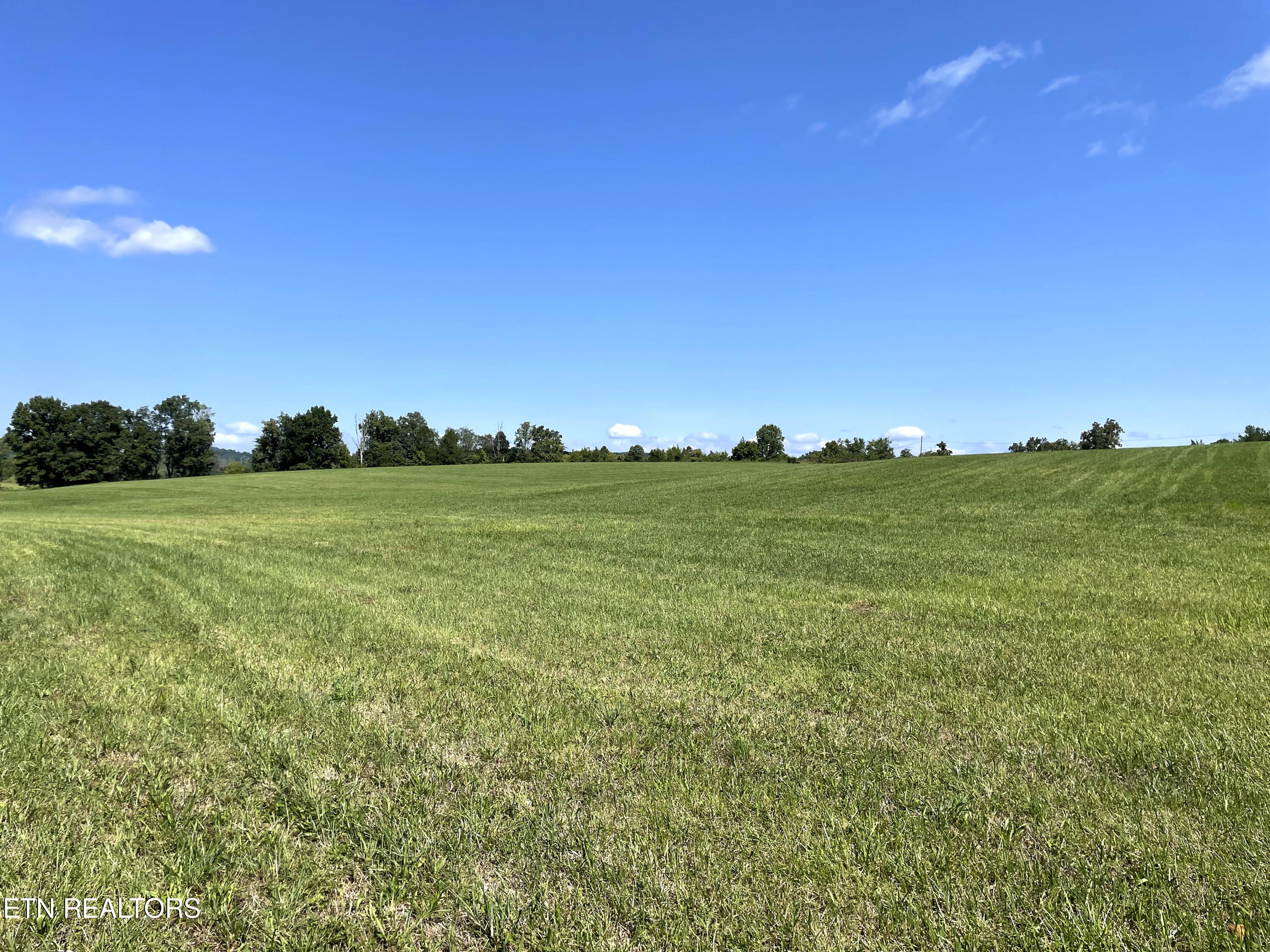 2205 Flatwoods Road Mosheim TN 37818