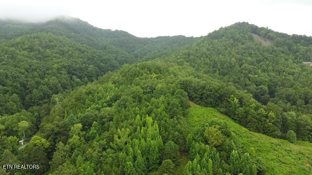 60 Acres Wears Valley Road Sevierville TN 37862