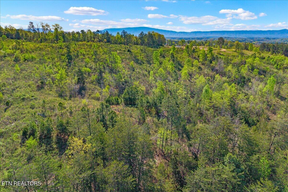 360 Co Road 963 Calhoun TN 37309