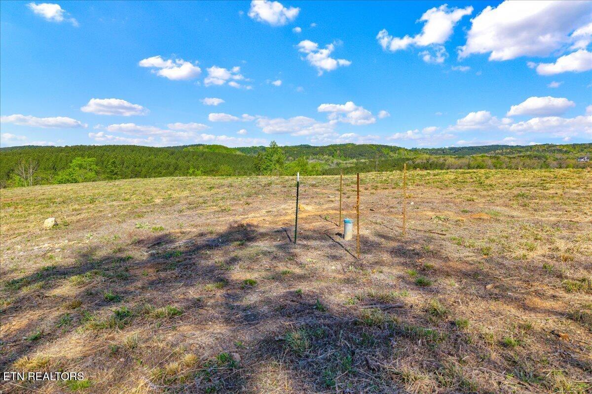 360 Co Road 963 Calhoun TN 37309