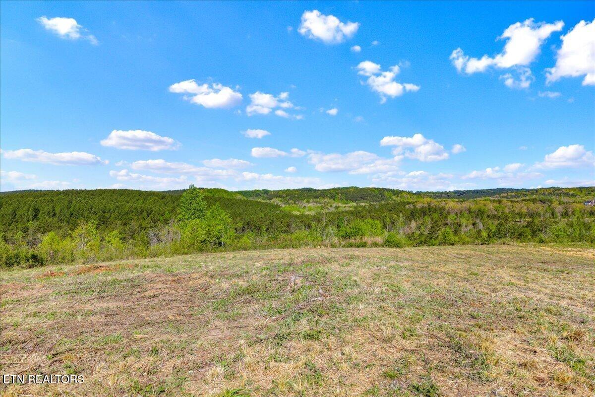 360 Co Road 963 Calhoun TN 37309