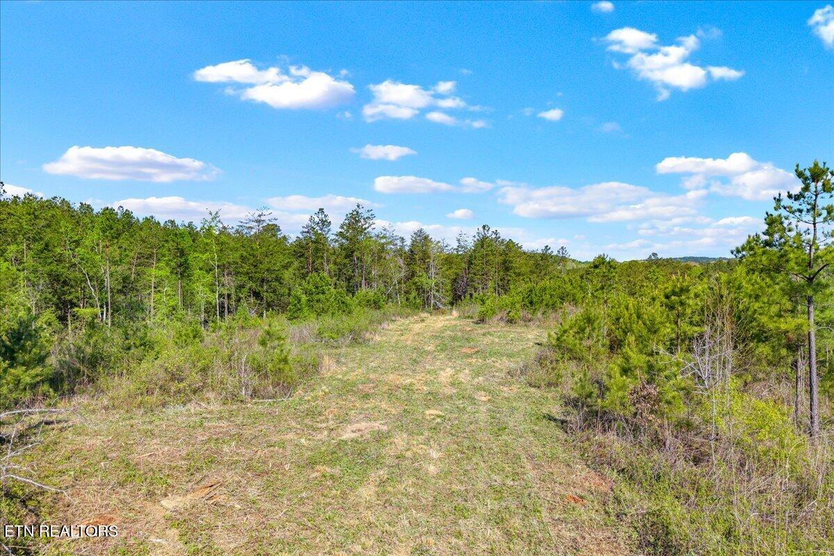 360 Co Road 963 Calhoun TN 37309