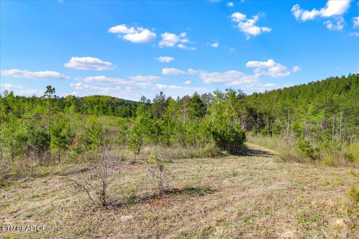360 Co Road 963 Calhoun TN 37309