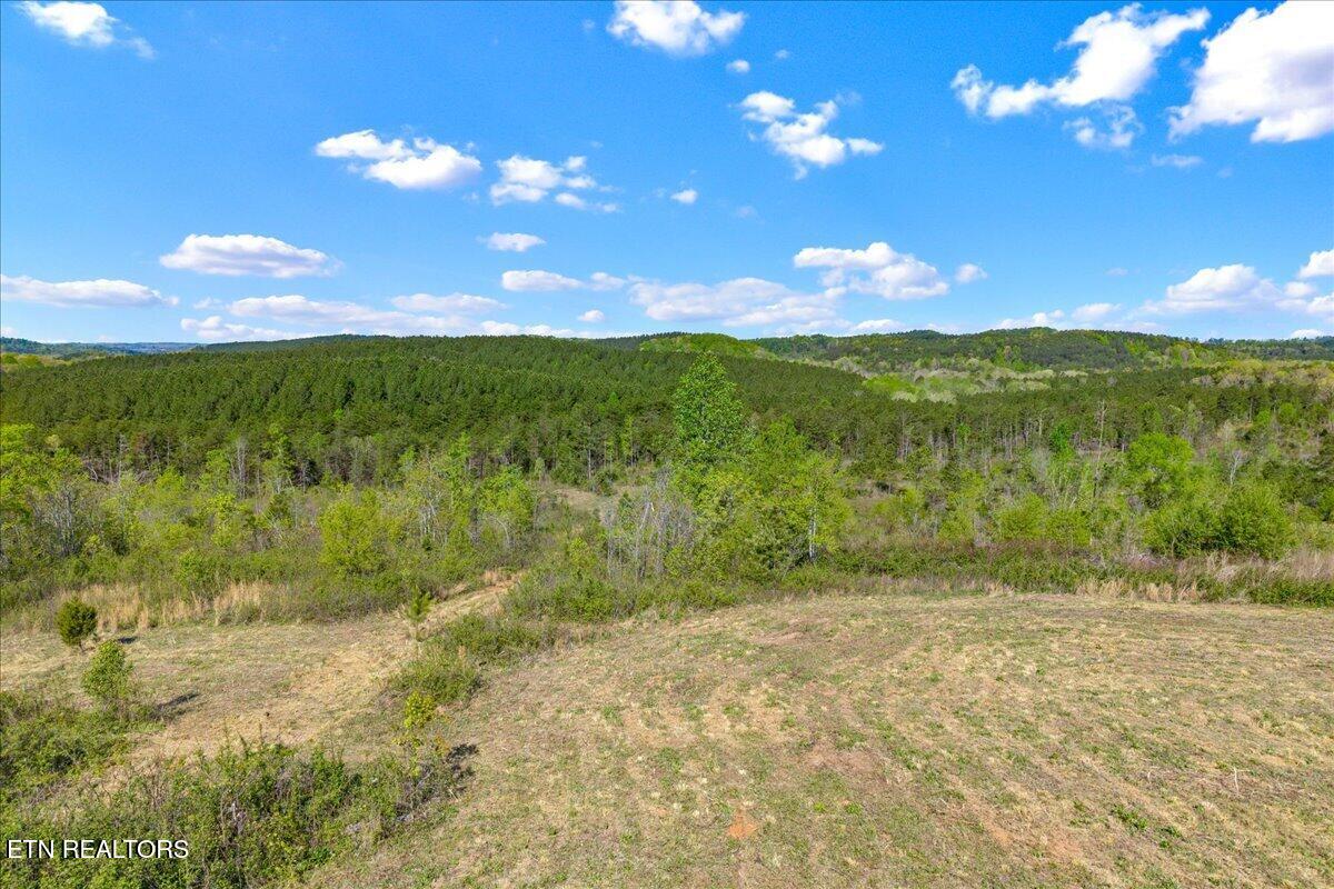 360 Co Road 963 Calhoun TN 37309