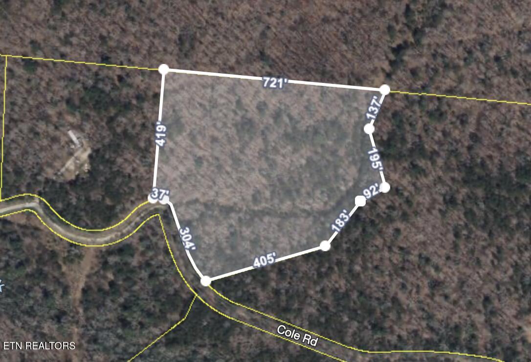 Anthony Road Deer Lodge TN 37726