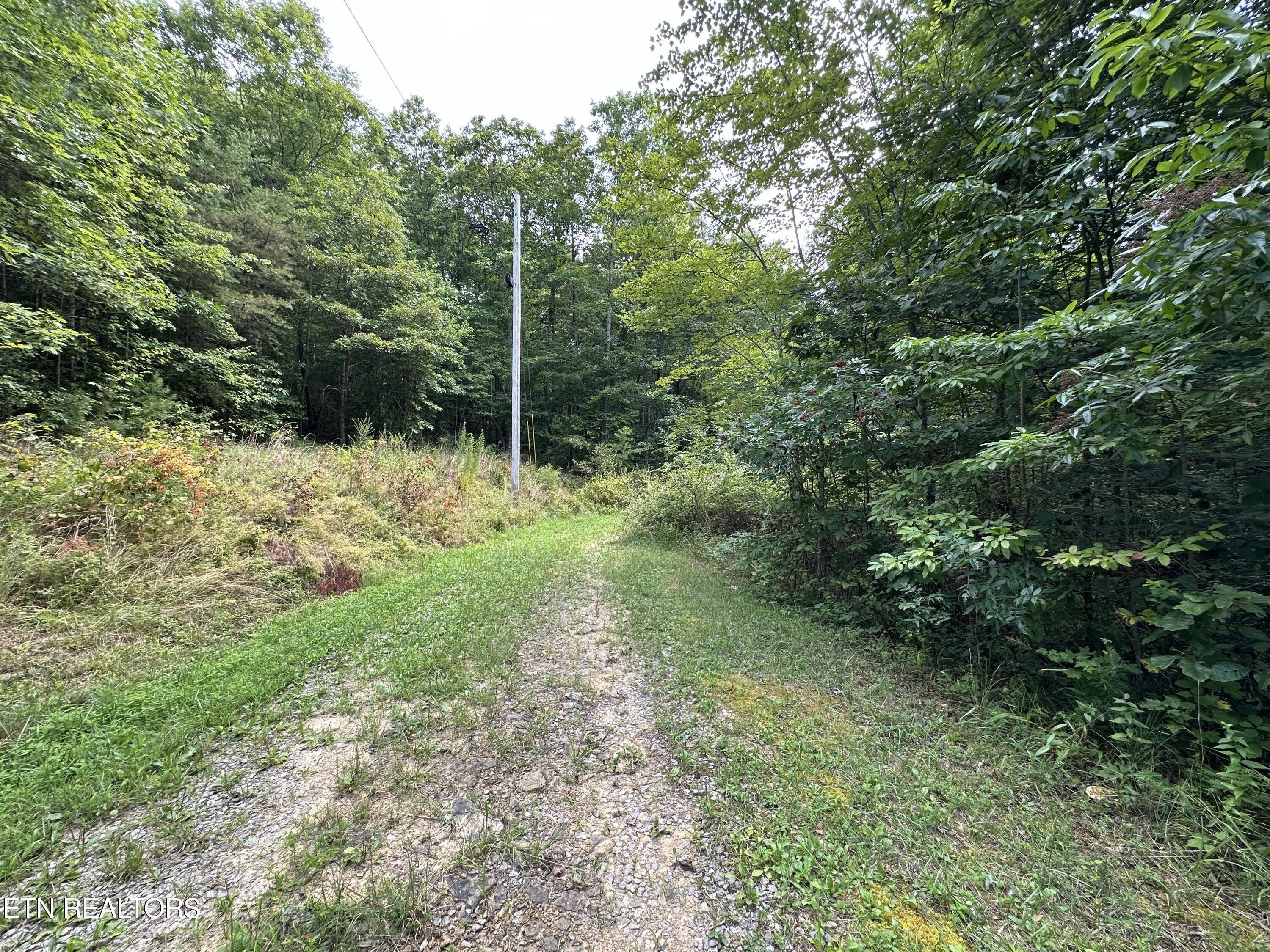 Anthony Road Deer Lodge TN 37726
