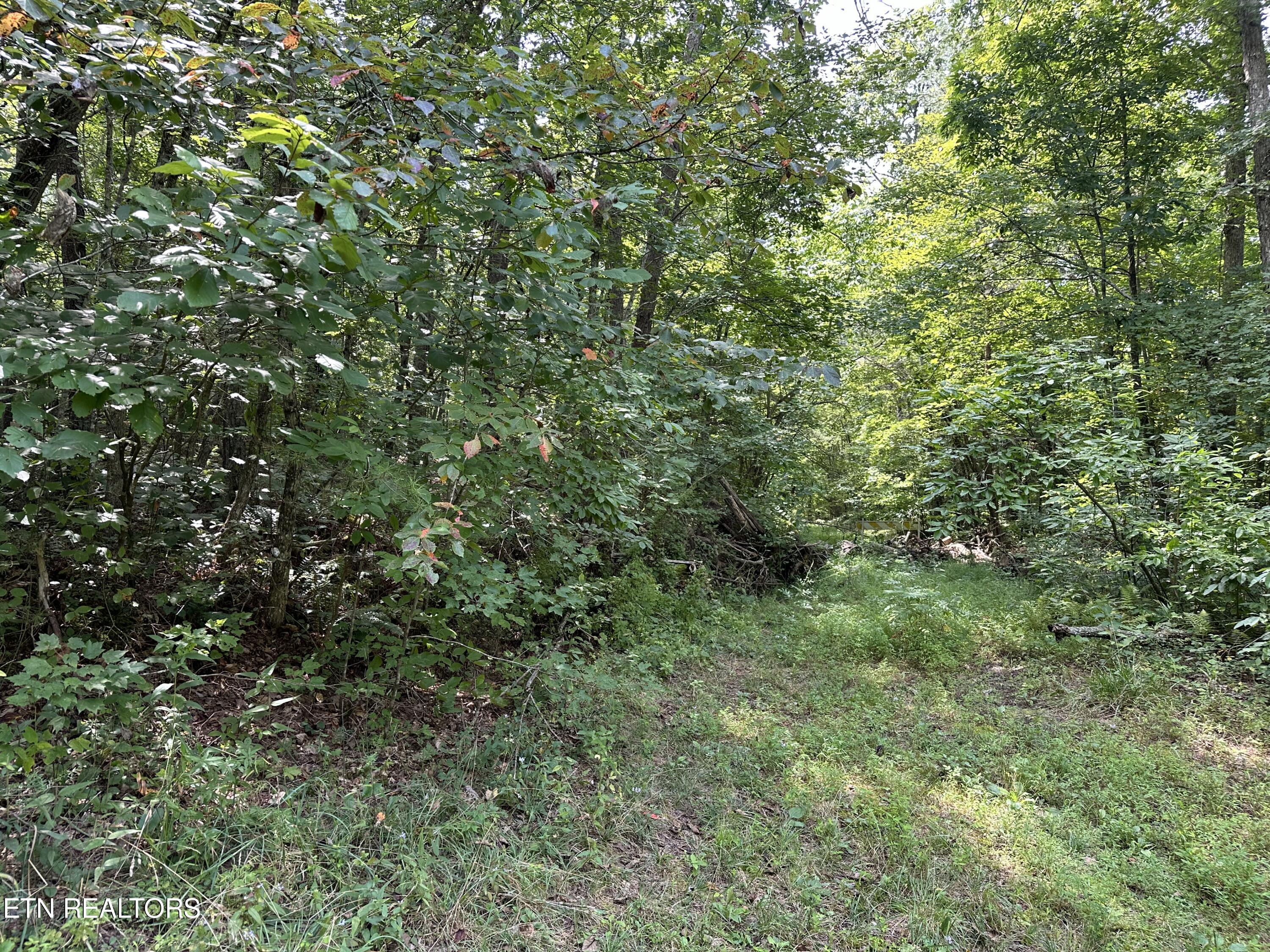 Anthony Road Deer Lodge TN 37726
