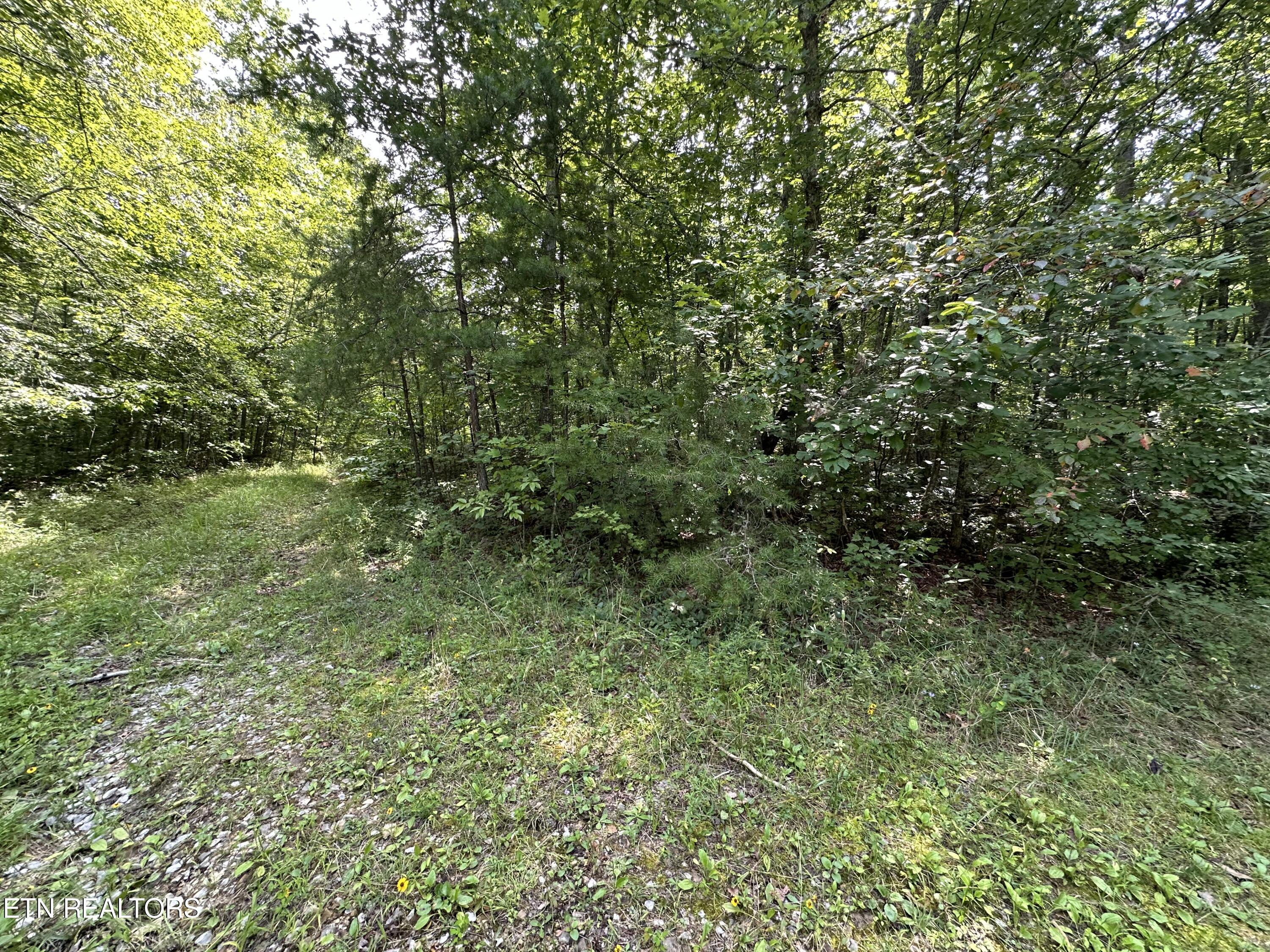 Anthony Road Deer Lodge TN 37726