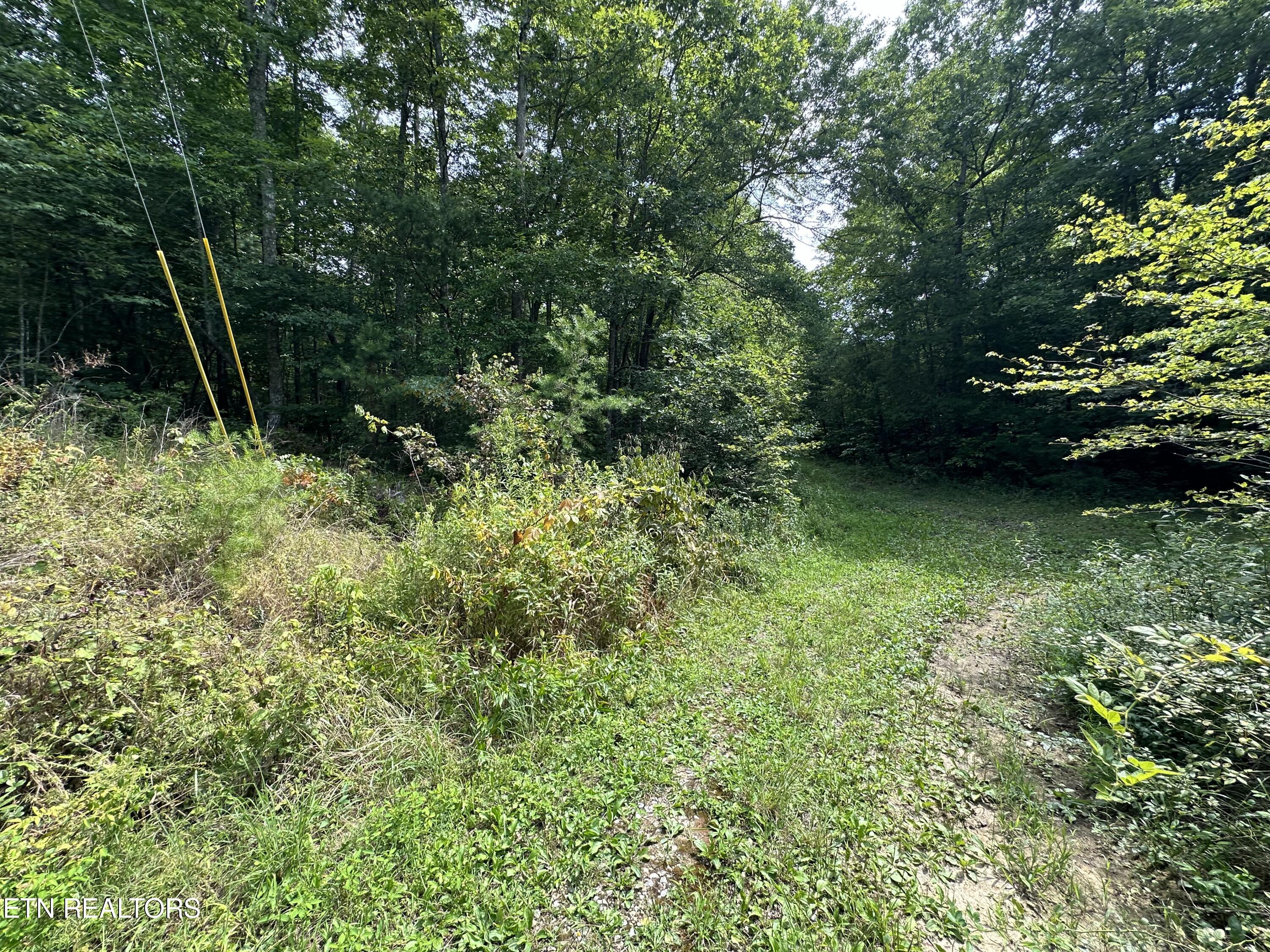 Anthony Road Deer Lodge TN 37726