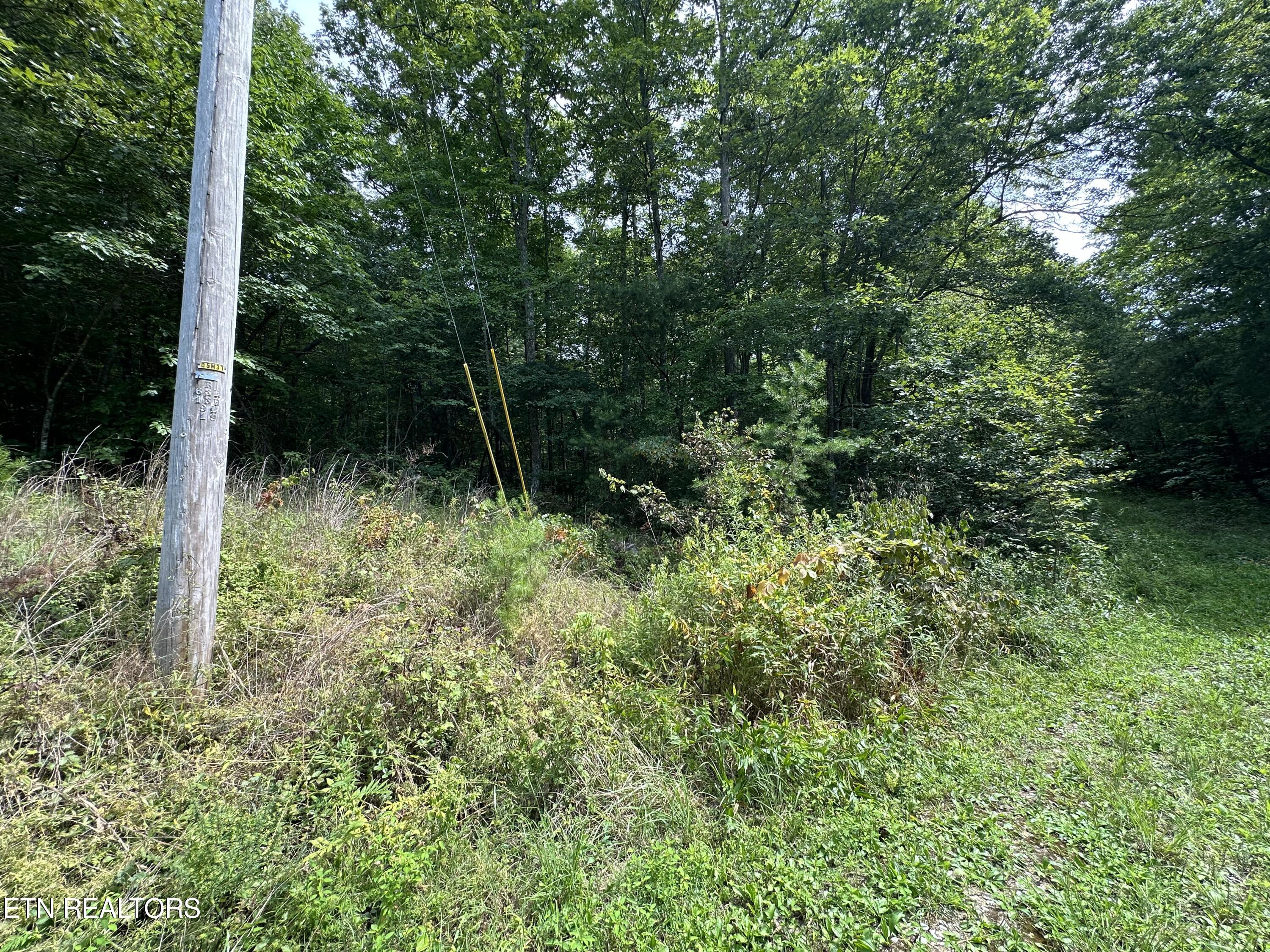 Anthony Road Deer Lodge TN 37726