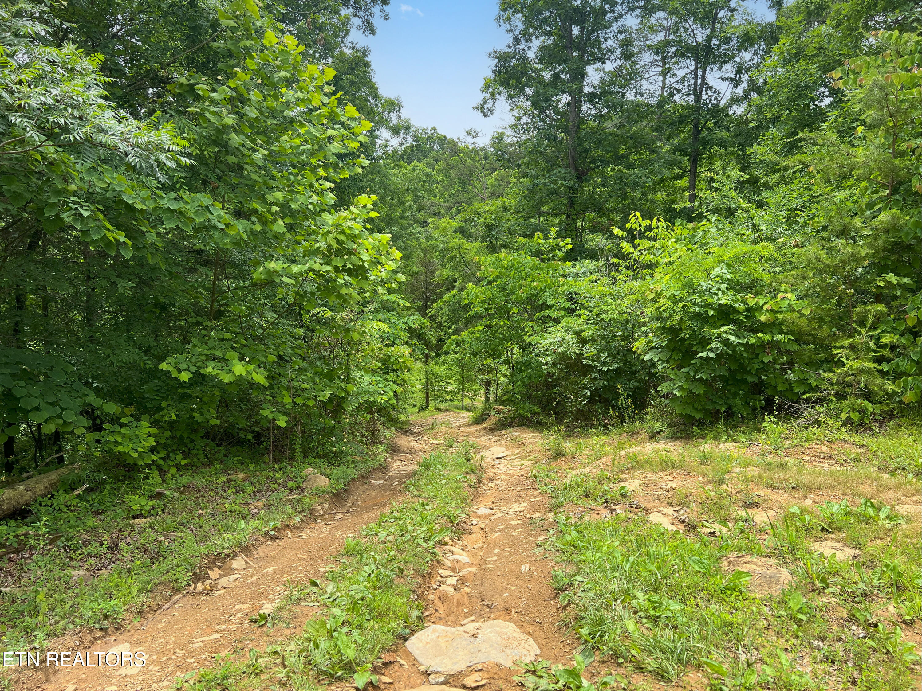 185 Green Road Bulls Gap TN 37711