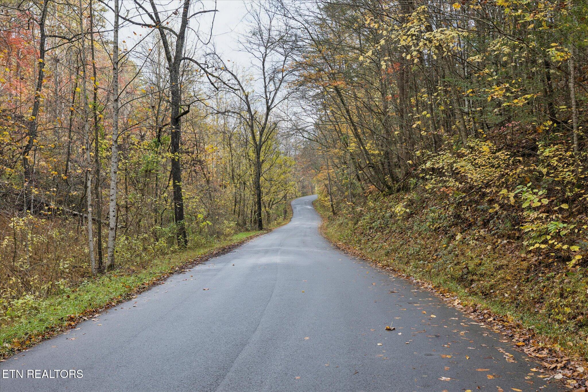 Tbd Evans Chapel Road Sevierville TN 37876