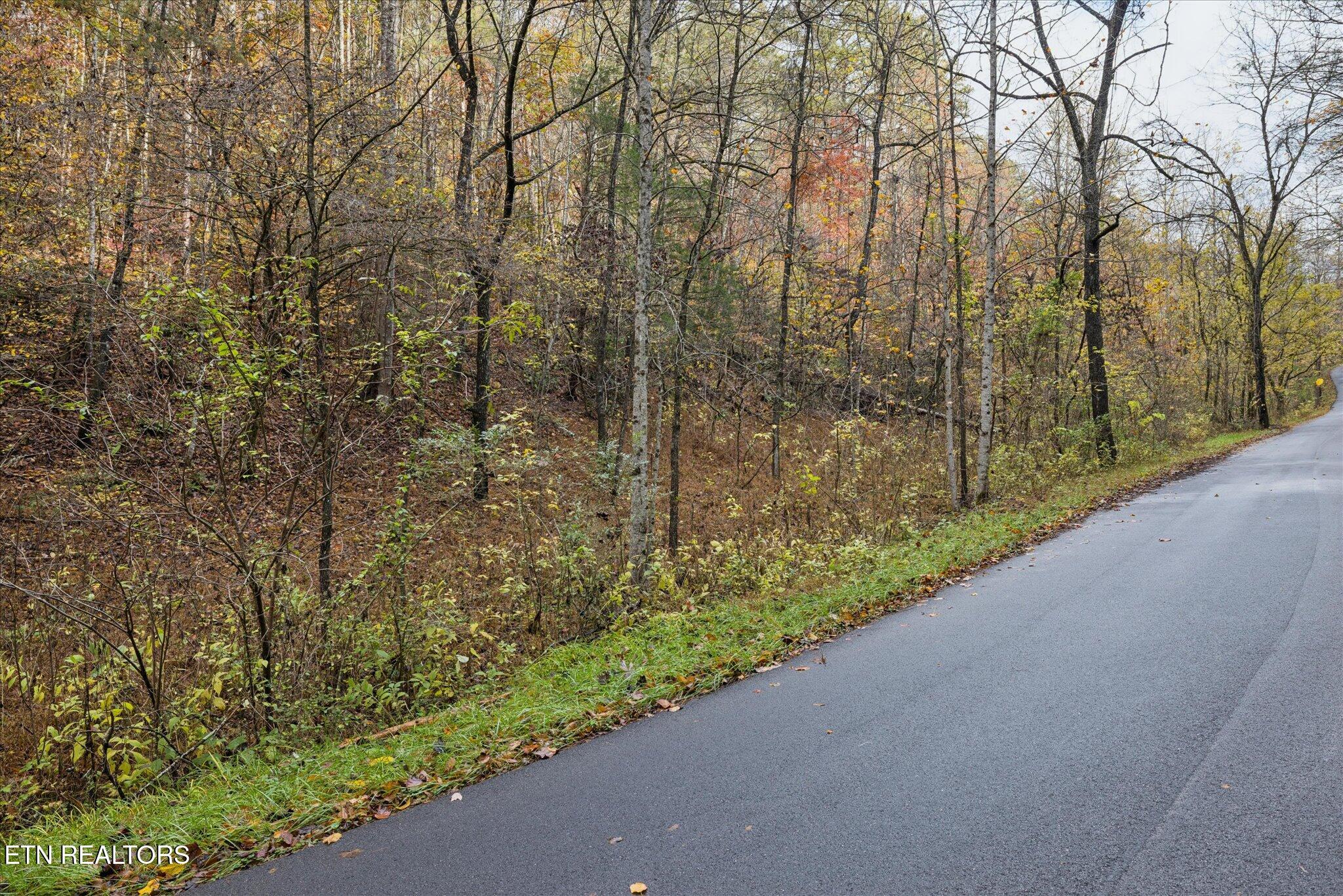 Tbd Evans Chapel Road Sevierville TN 37876