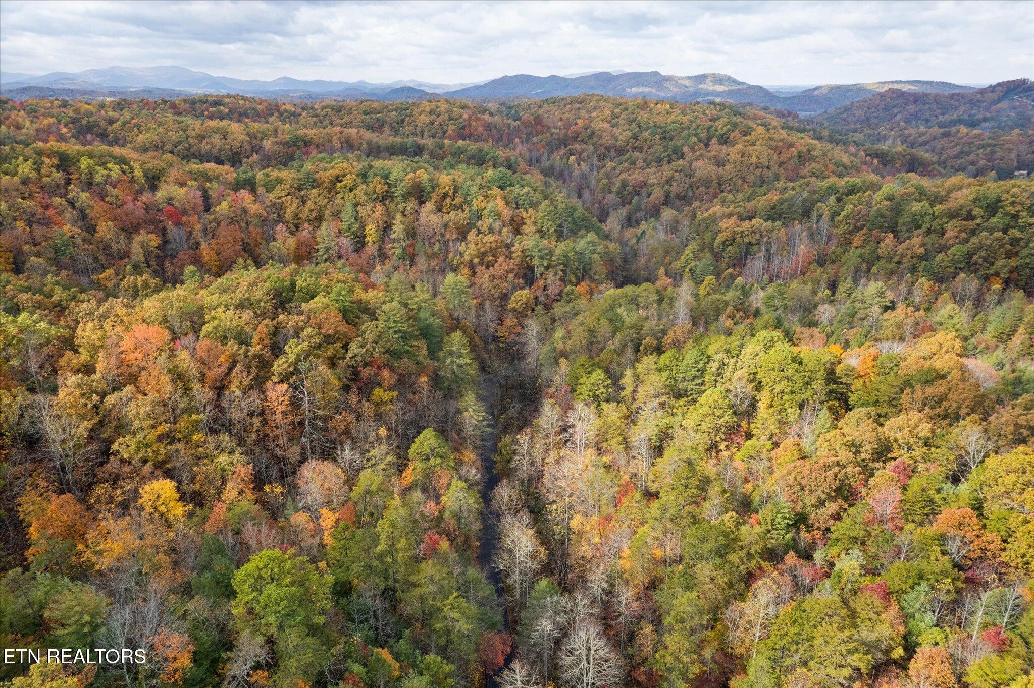 Tbd Evans Chapel Road Sevierville TN 37876