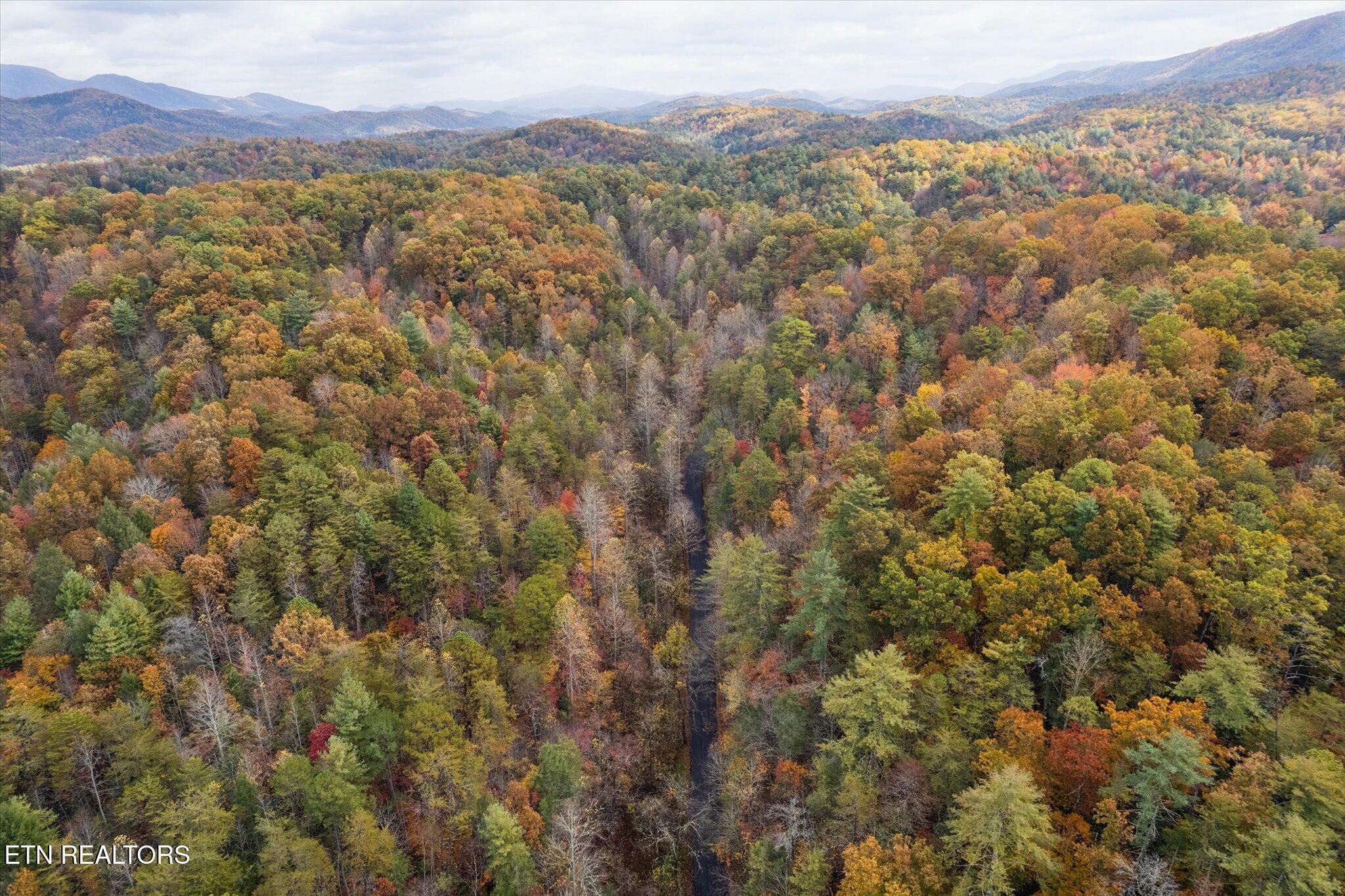 Tbd Evans Chapel Road Sevierville TN 37876