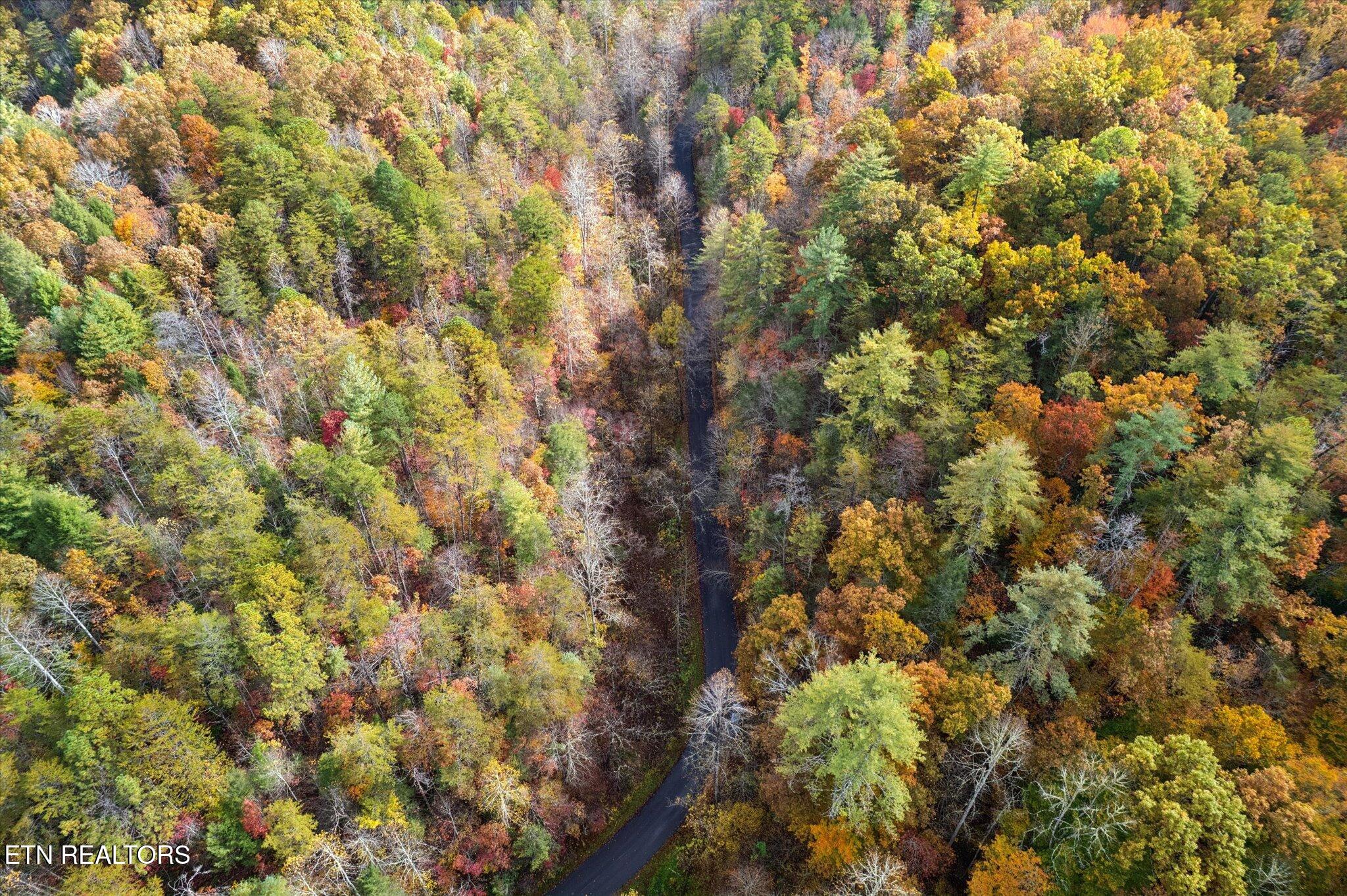 Tbd Evans Chapel Road Sevierville TN 37876