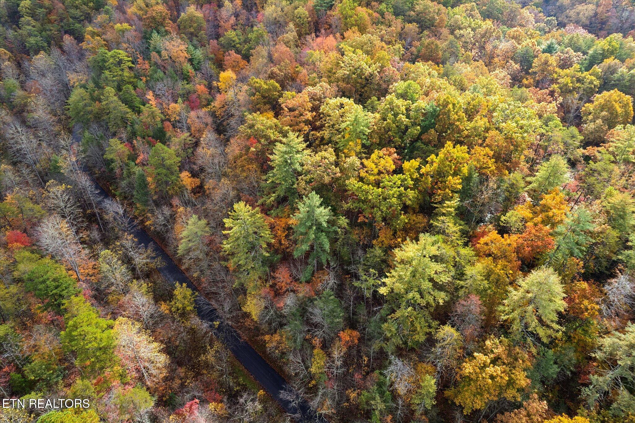Tbd Evans Chapel Road Sevierville TN 37876