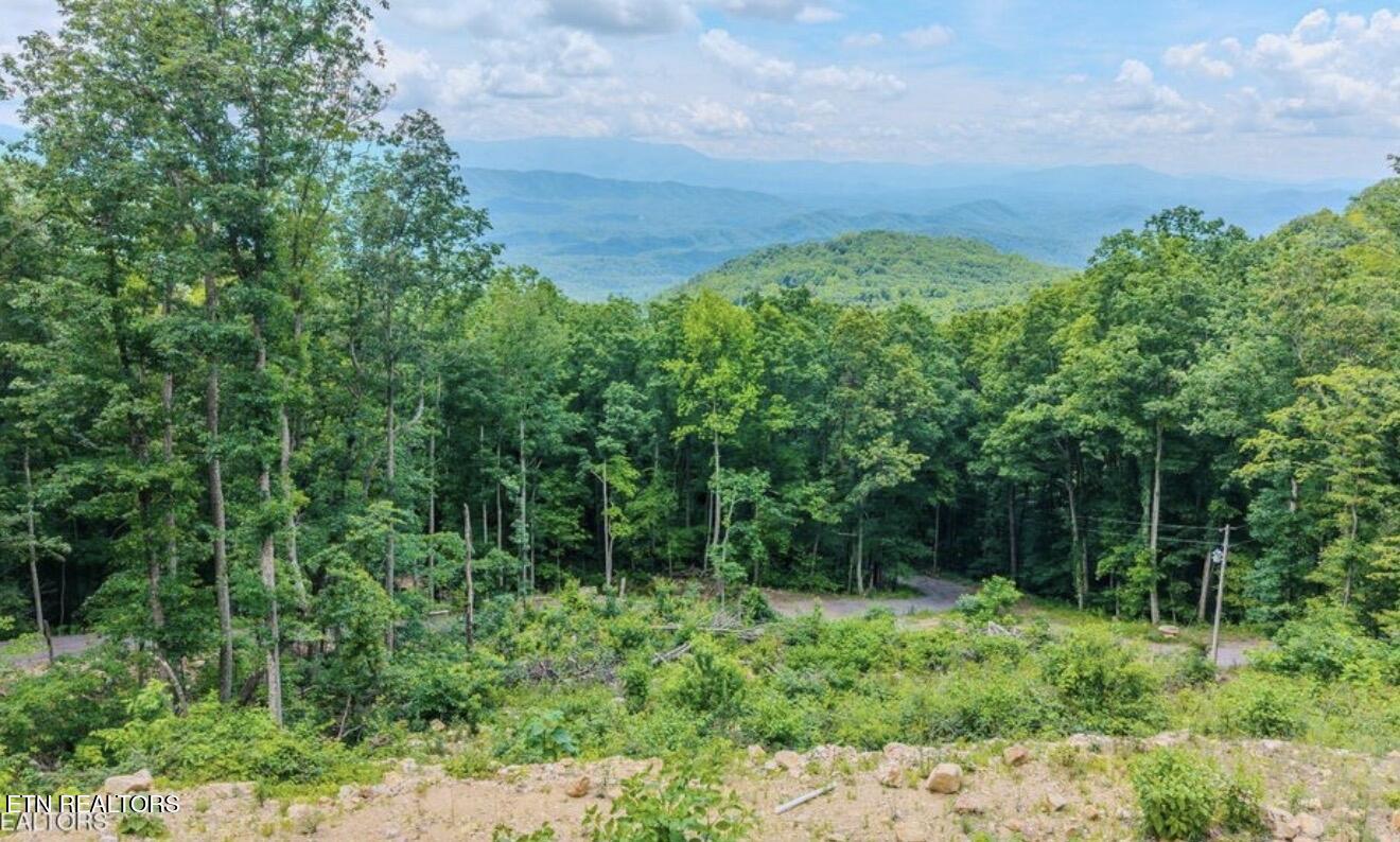 1038 Clingmans View Sevierville TN 37876