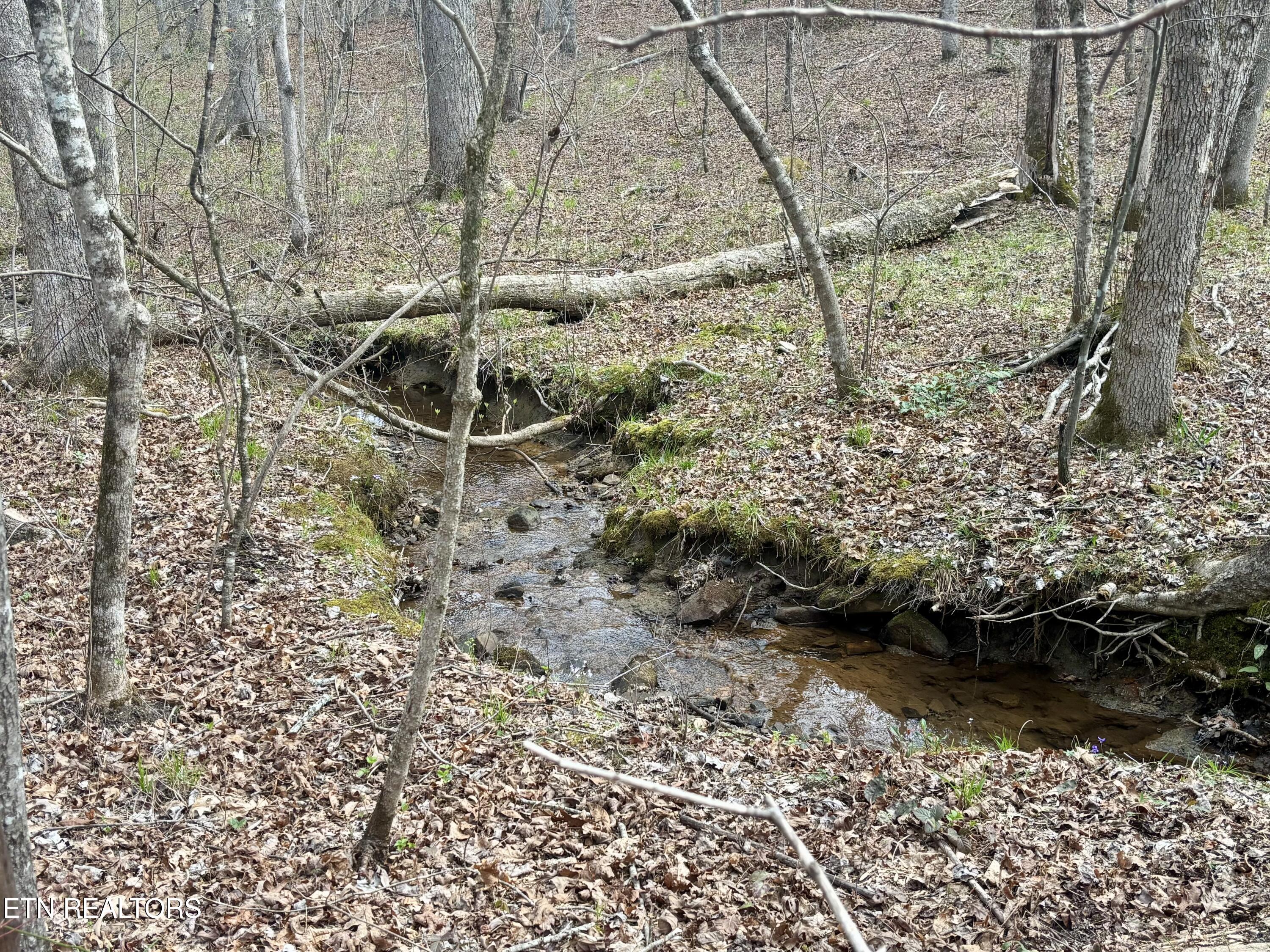 0 Crystal Point Monterey TN 38574
