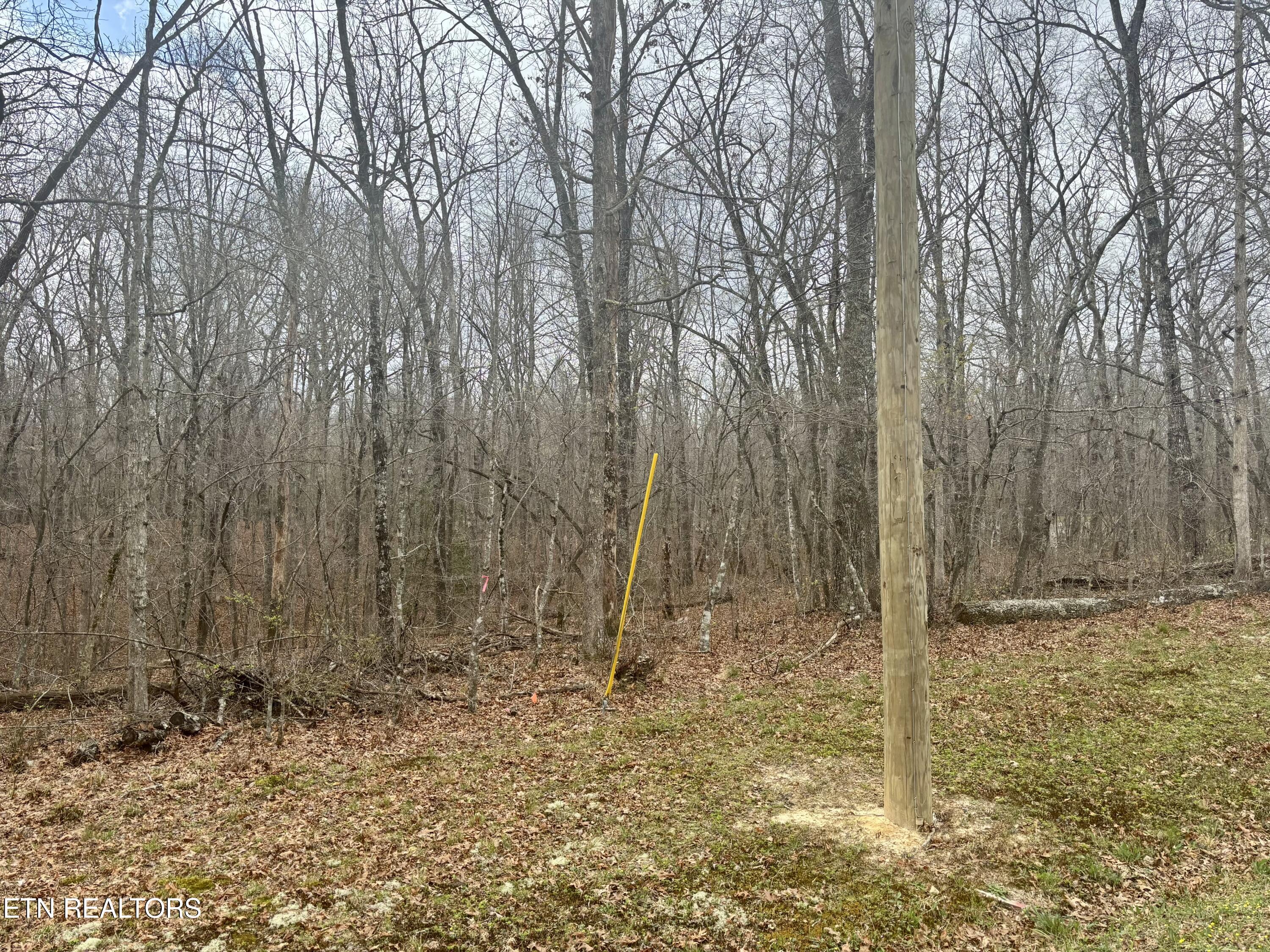 0 Crystal Point Monterey TN 38574