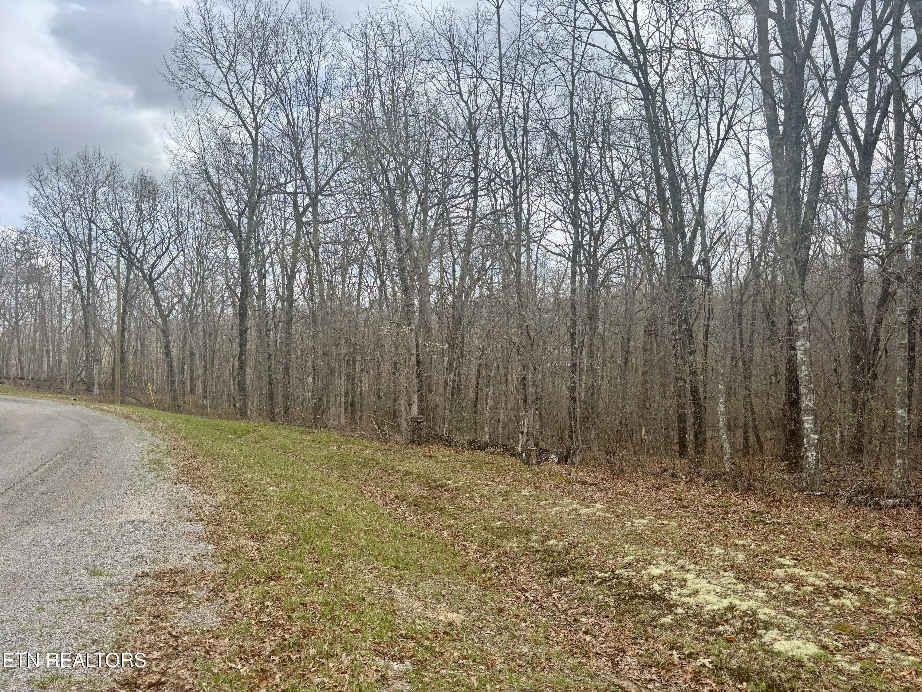 0 Crystal Point Monterey TN 38574