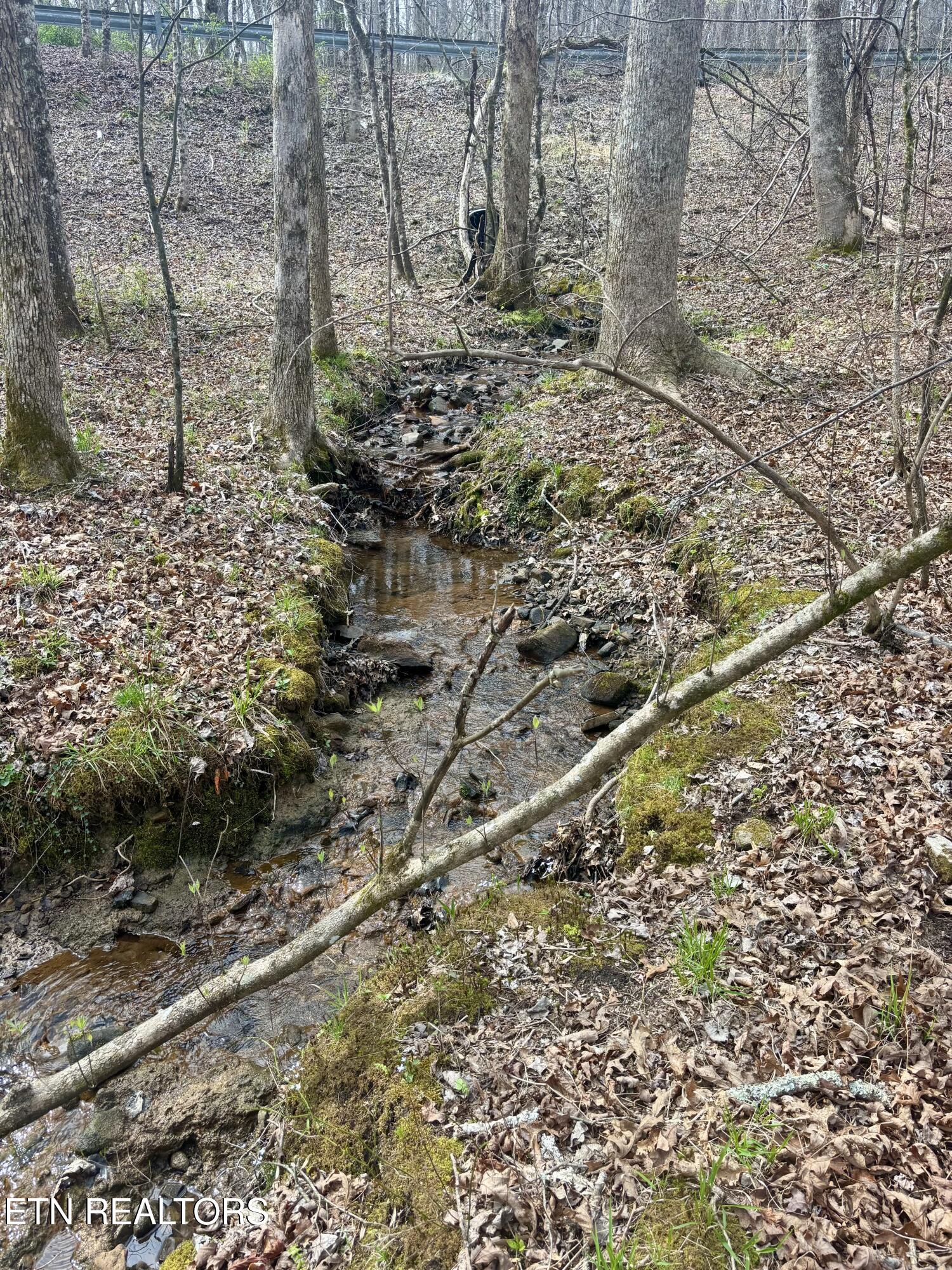 0 Crystal Point Monterey TN 38574