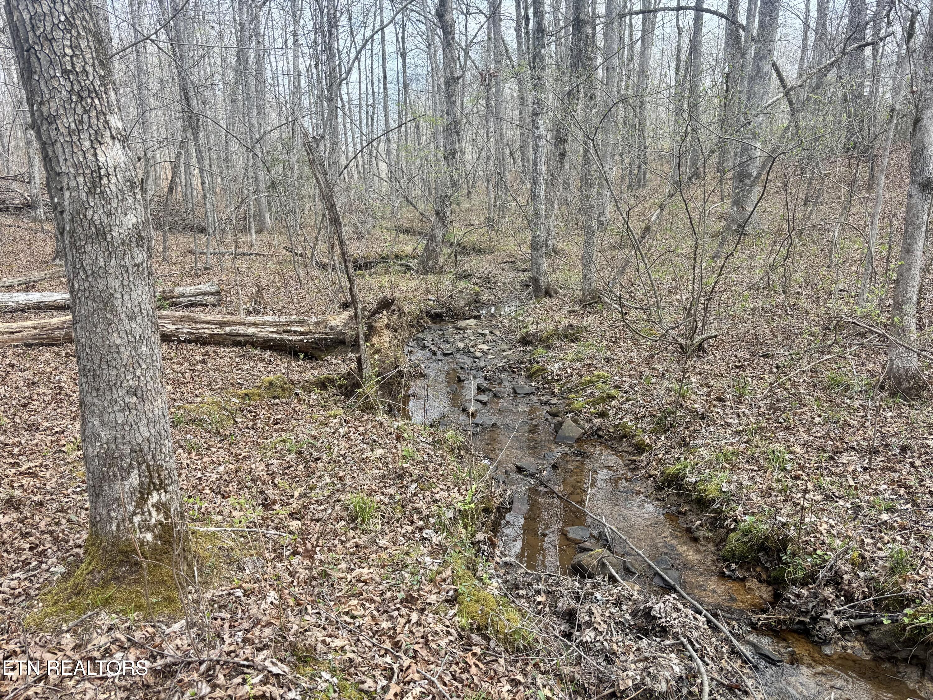 0 Crystal Point Monterey TN 38574