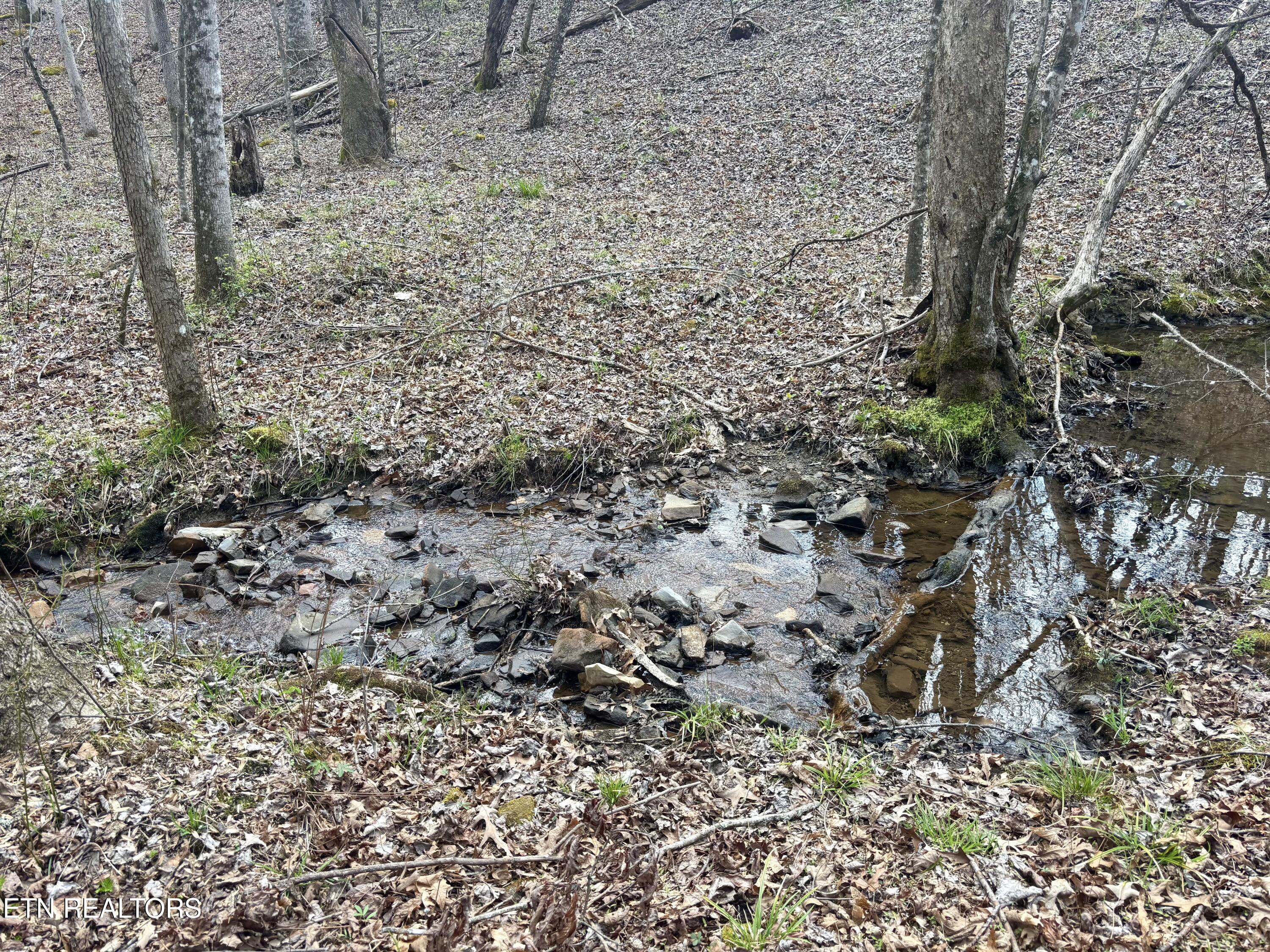 0 Crystal Point Monterey TN 38574