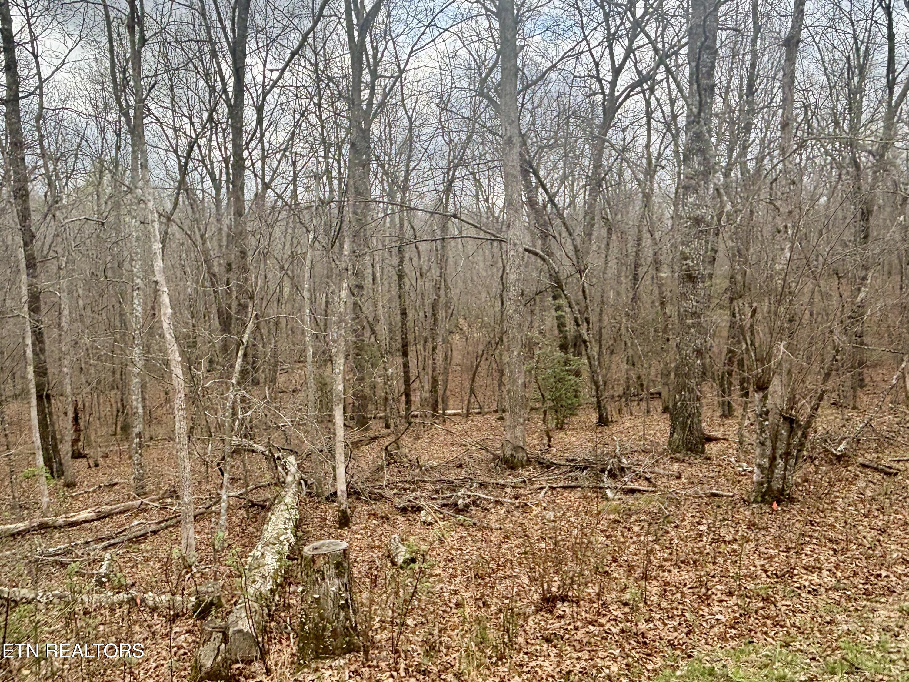 0 Crystal Point Monterey TN 38574