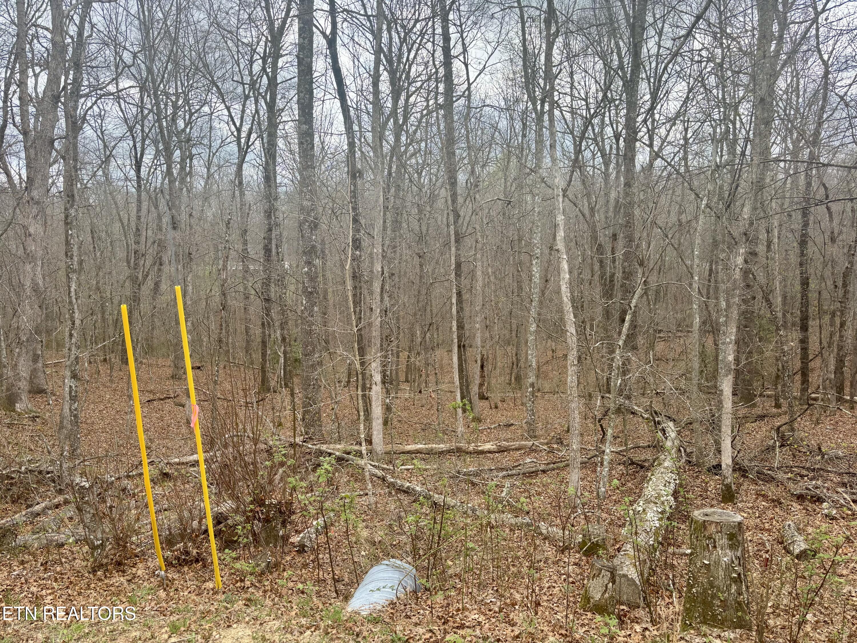 0 Crystal Point Monterey TN 38574