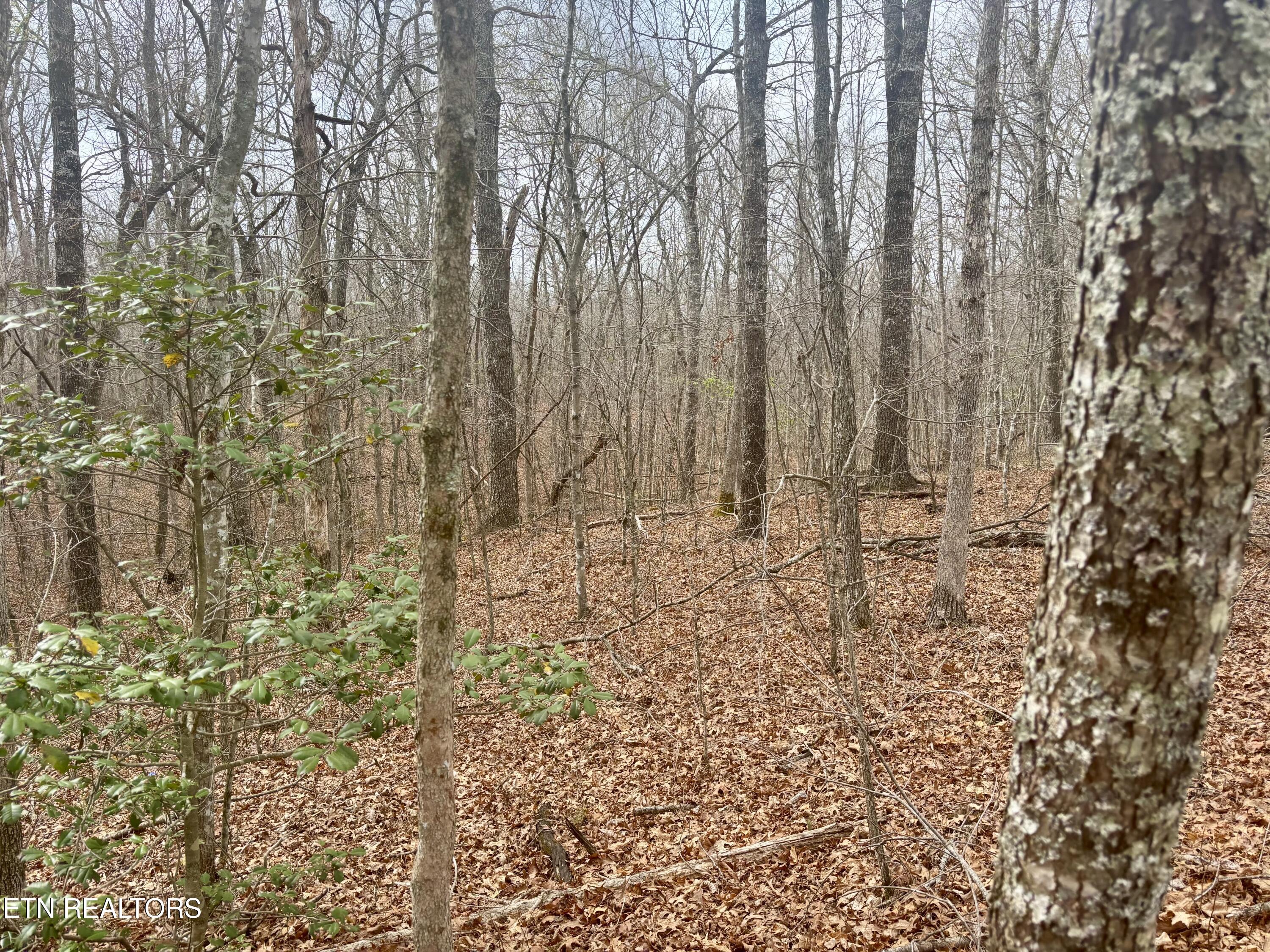 0 Crystal Point Monterey TN 38574