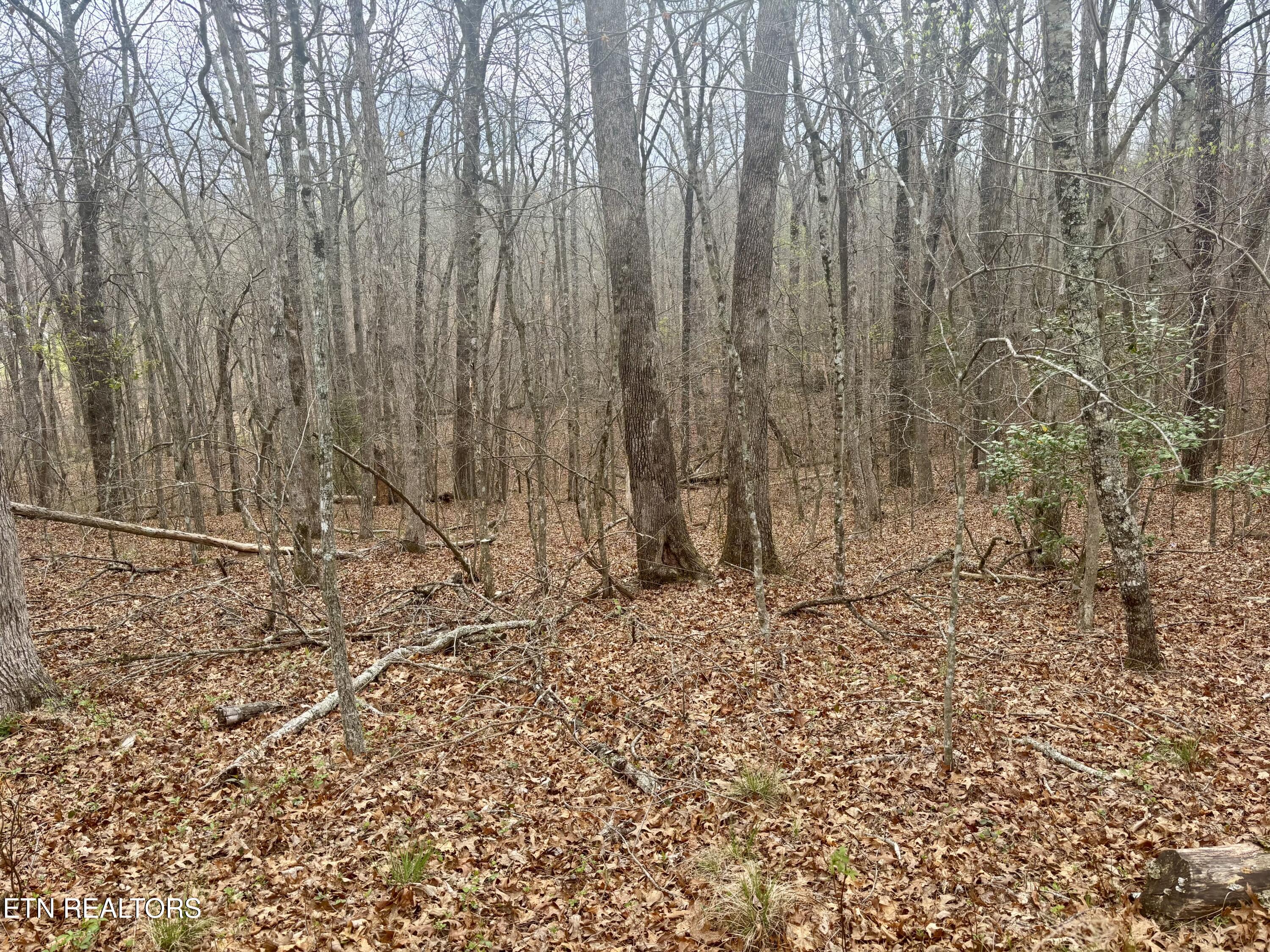 0 Crystal Point Monterey TN 38574