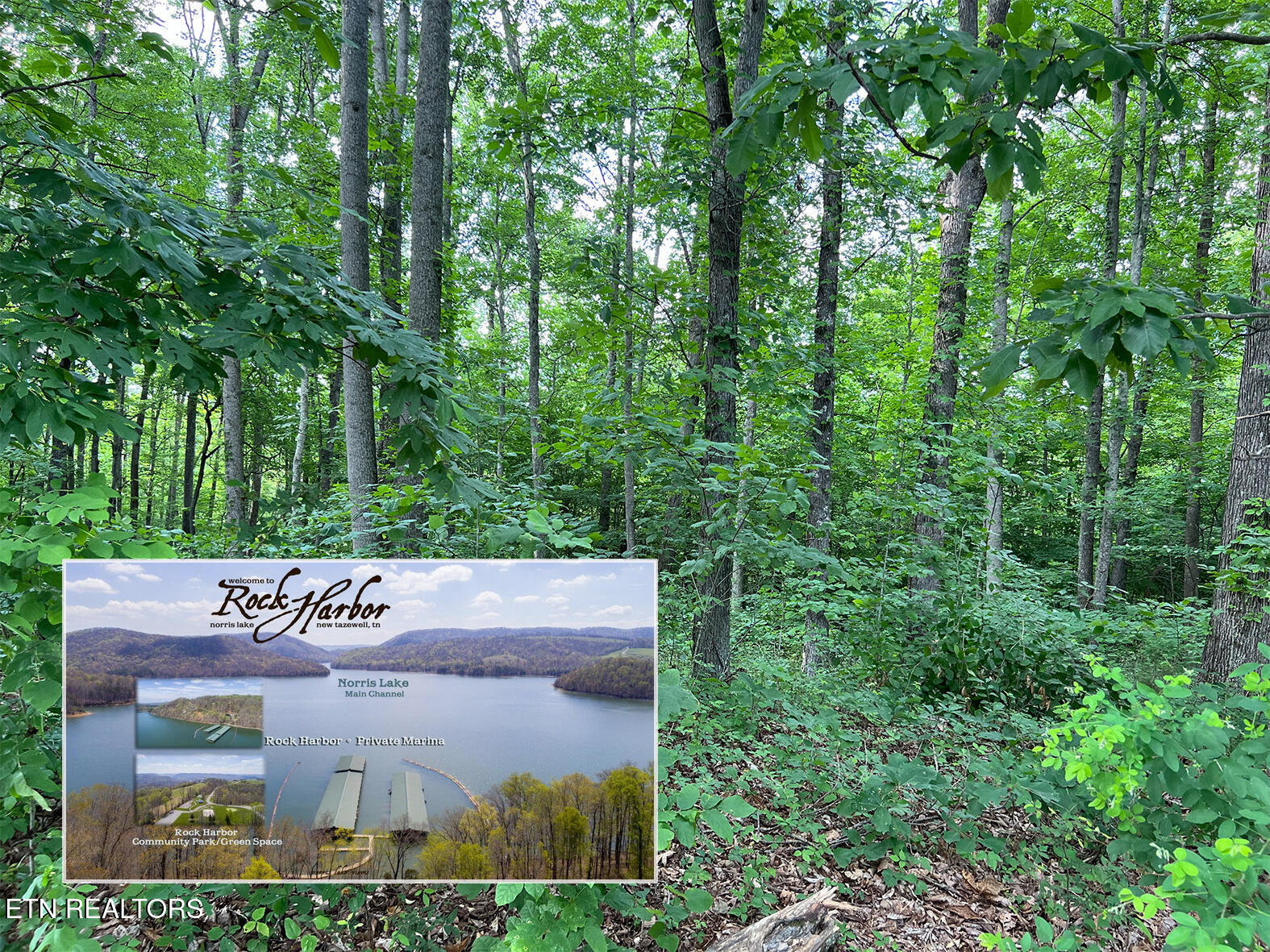 Lot 240 Tanzanite Trail New Tazewell TN 37825