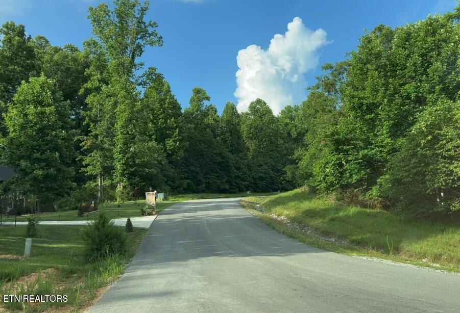 Lot 240 Tanzanite Trail New Tazewell TN 37825