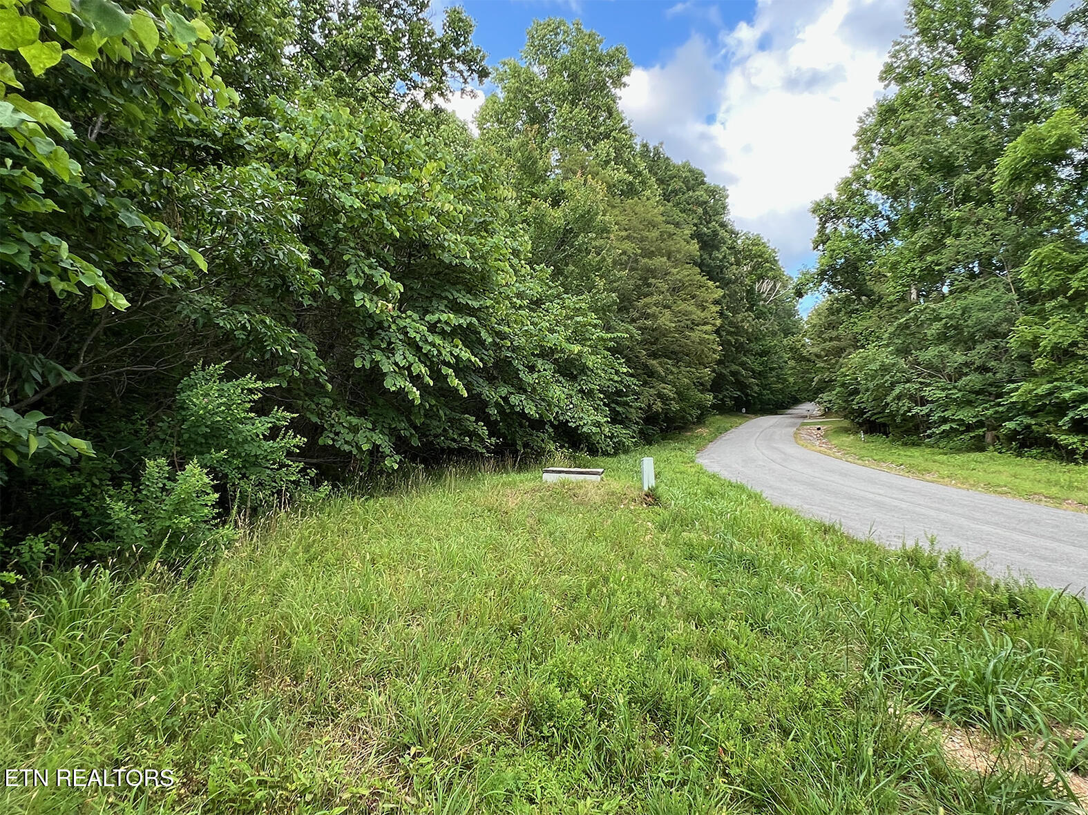 Lot 240 Tanzanite Trail New Tazewell TN 37825