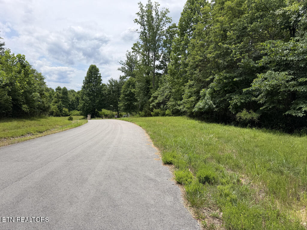 Lot 240 Tanzanite Trail New Tazewell TN 37825