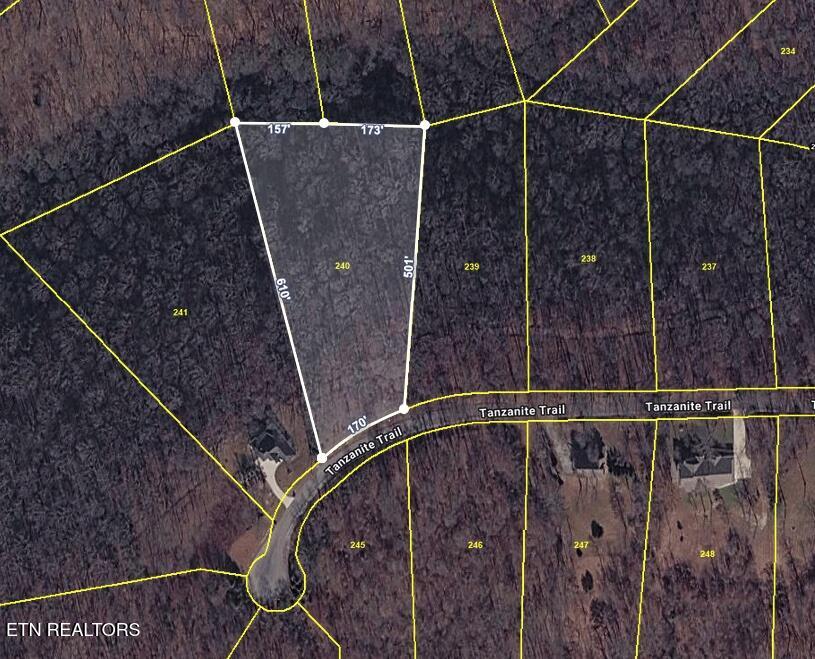 Lot 240 Tanzanite Trail New Tazewell TN 37825