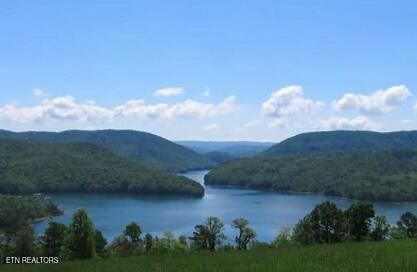 Lot 240 Tanzanite Trail New Tazewell TN 37825