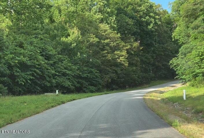 Lot 240 Tanzanite Trail New Tazewell TN 37825