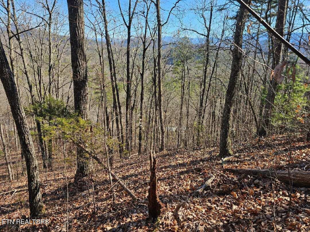 0 Red Rooster Way Sevierville TN 37876