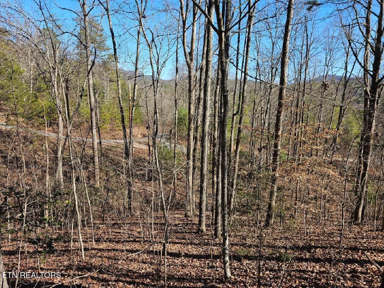 0 Red Rooster Way Sevierville TN 37876