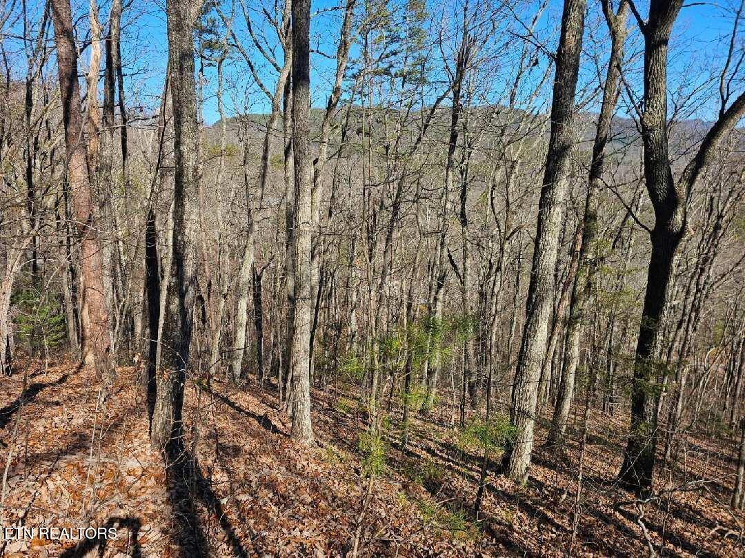 0 Red Rooster Way Sevierville TN 37876