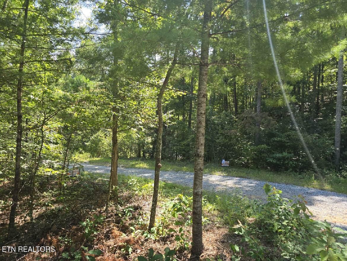 0 Red Rooster Way Sevierville TN 37876